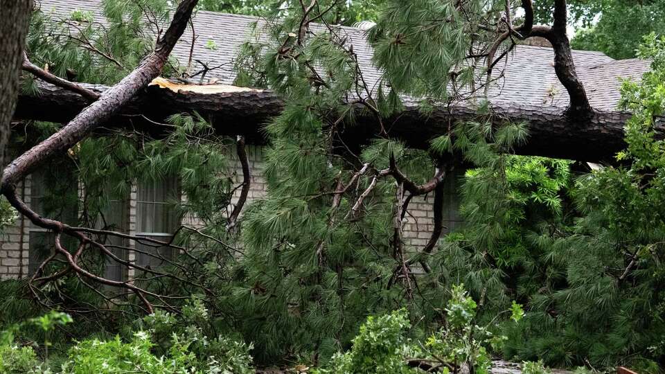 A large tree is seen after it fell on a home after heavy winds and rains ripped through the region, Thursday, May 15, 2024, in Houston.