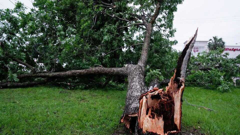 A snapped tree blocks one lane on southbound Studemont Street at Washington Avenue Friday, May 17, 2024 in Houston.