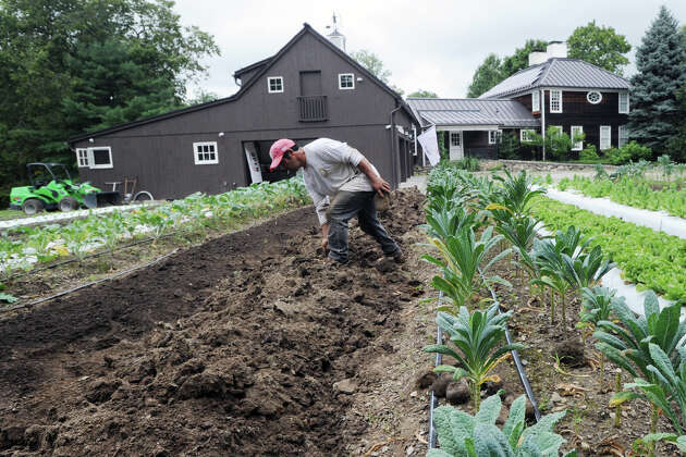 Story photo for A handful of working farms are for sale in Connecticut