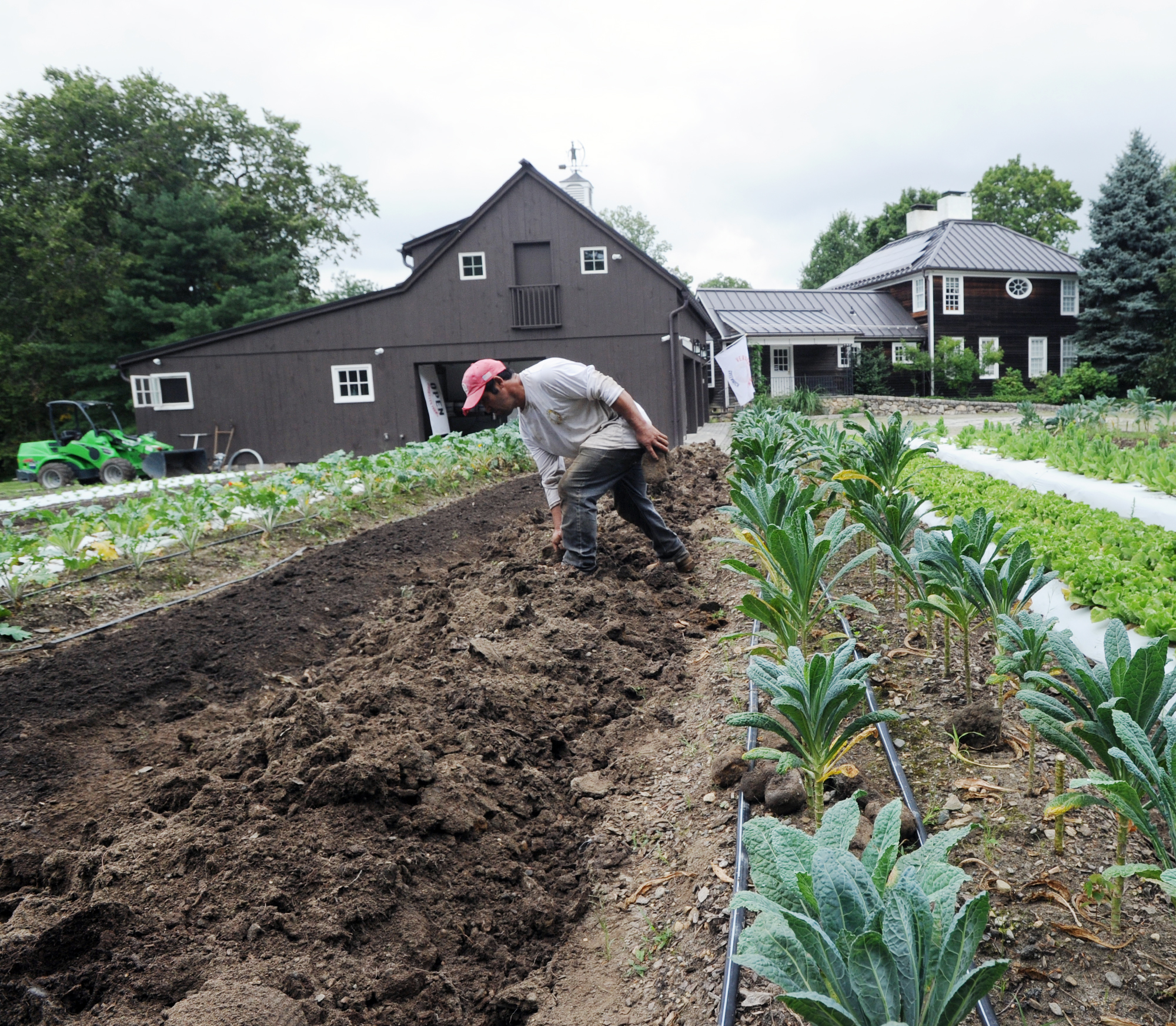 Connecticut lost 460 farms over five years. A handful are up for sale - Vimarsana News