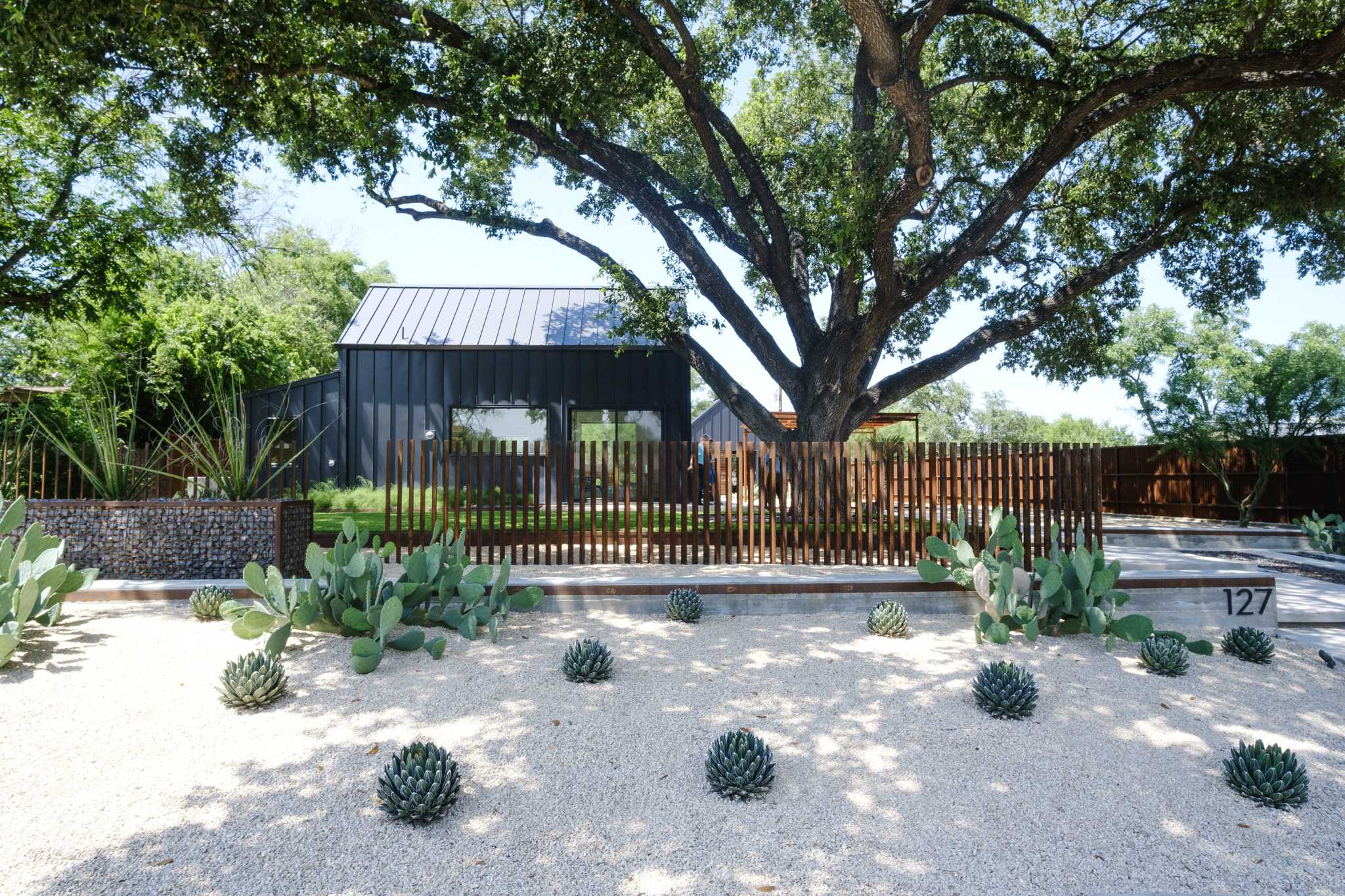 San Antonio tiny home is a real eye-catcher - Vimarsana News