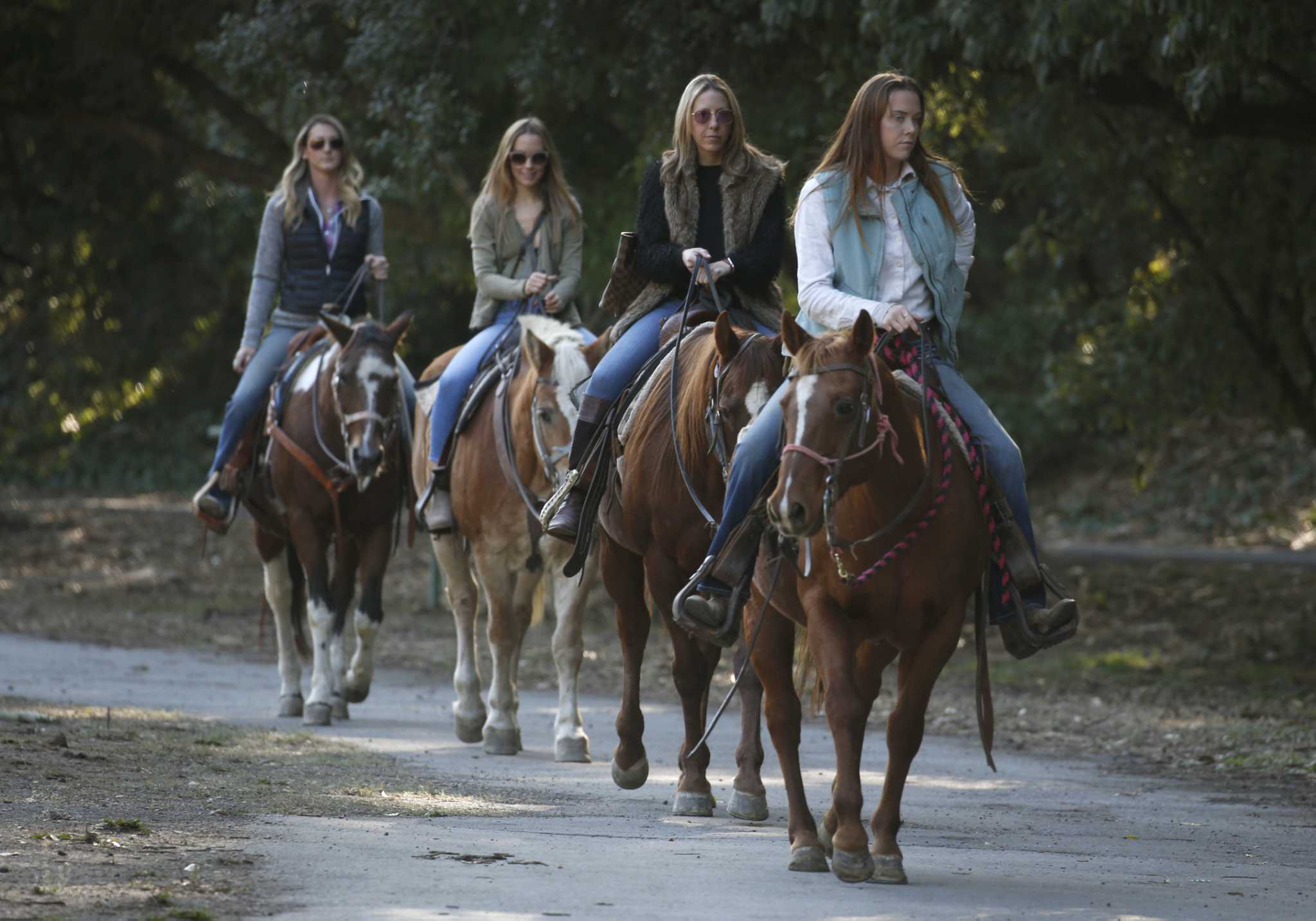 Permit revoked: Provider of horseback riding services at GGP is out - Vimarsana News