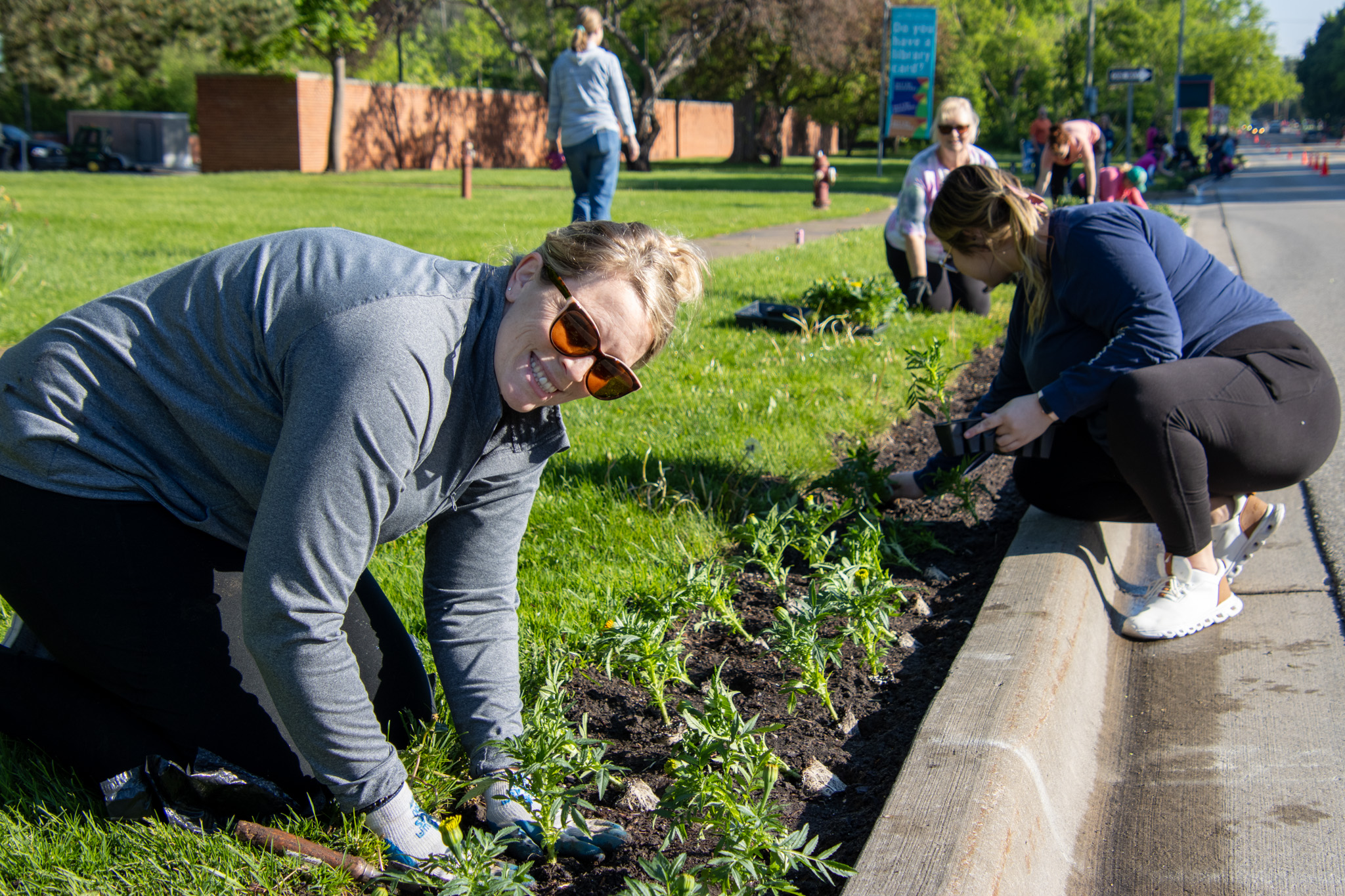 Midland Blooms marigolds will be removed next week