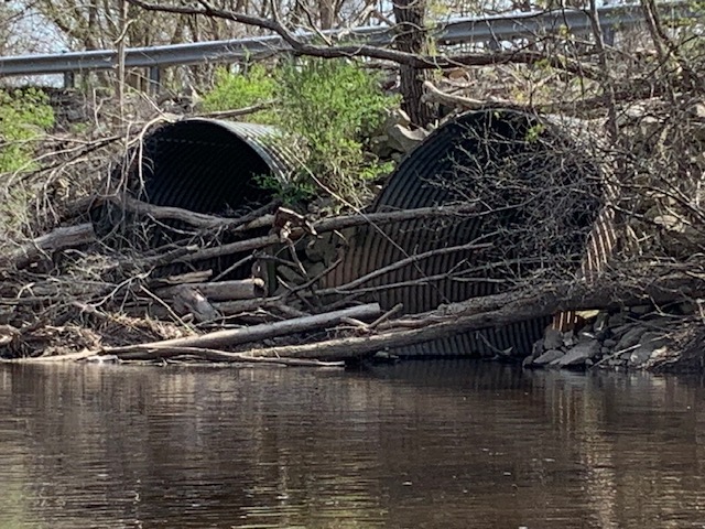 Midland councilman, drain commissioner call for stream debris clearing - Vimarsana News