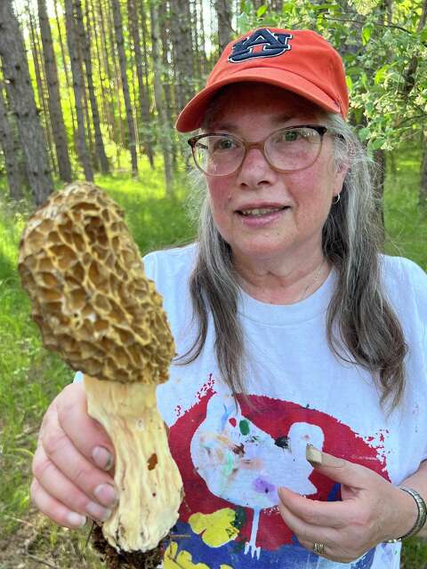 Giant morel mushroom found in West Michigan backyard