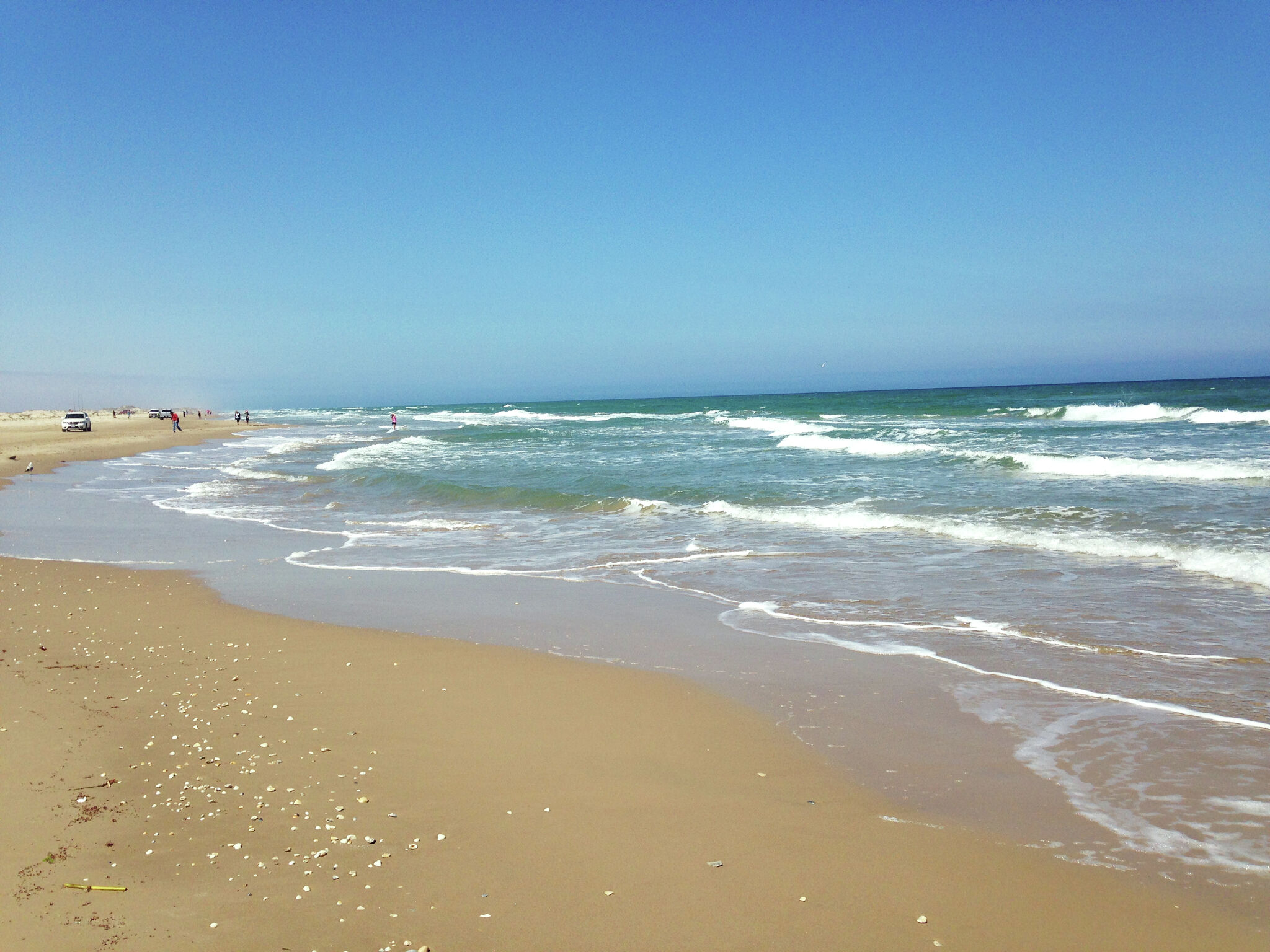 Two Texas locations ranked among nation's best for nudists - Vimarsana News