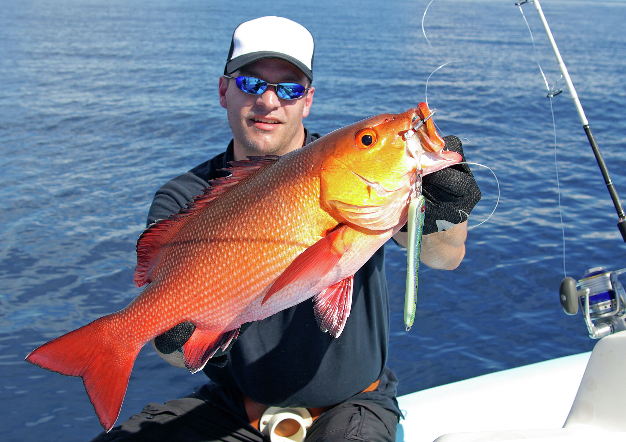 Texas anglers: Red snapper season opens June 1 in federal waters - Vimarsana News