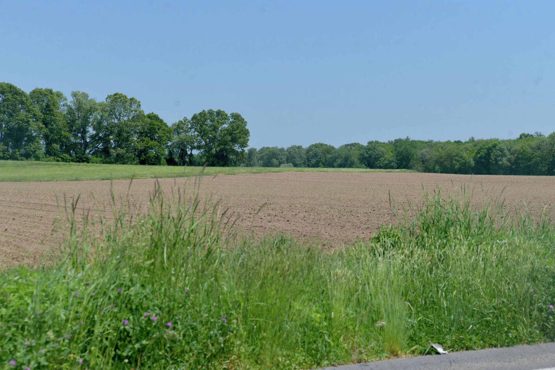 Enfield solar facility approved despite town, resident pushback