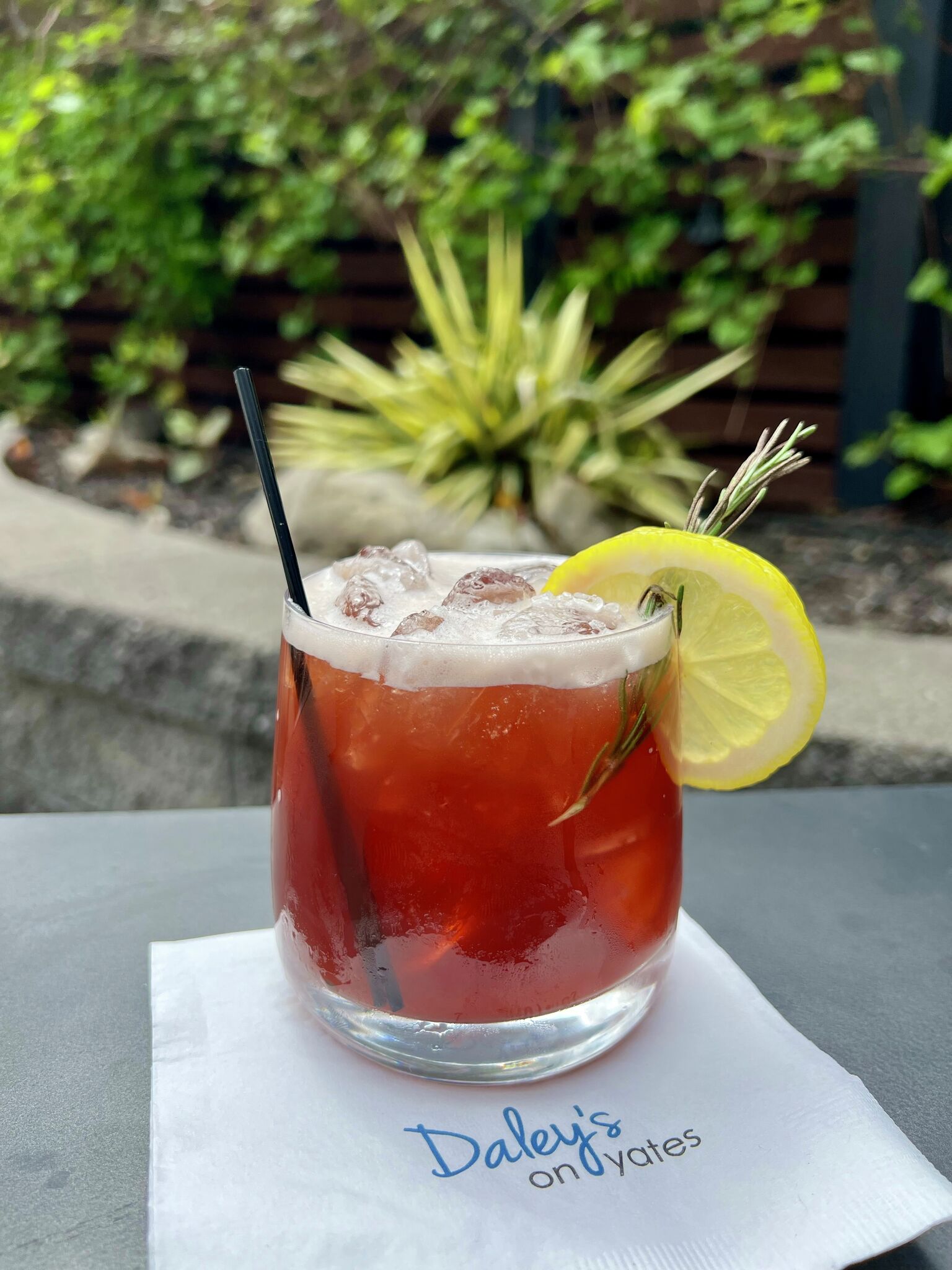 Casita, Daley's on Yates, Shaker & Vine with spring cocktail menus