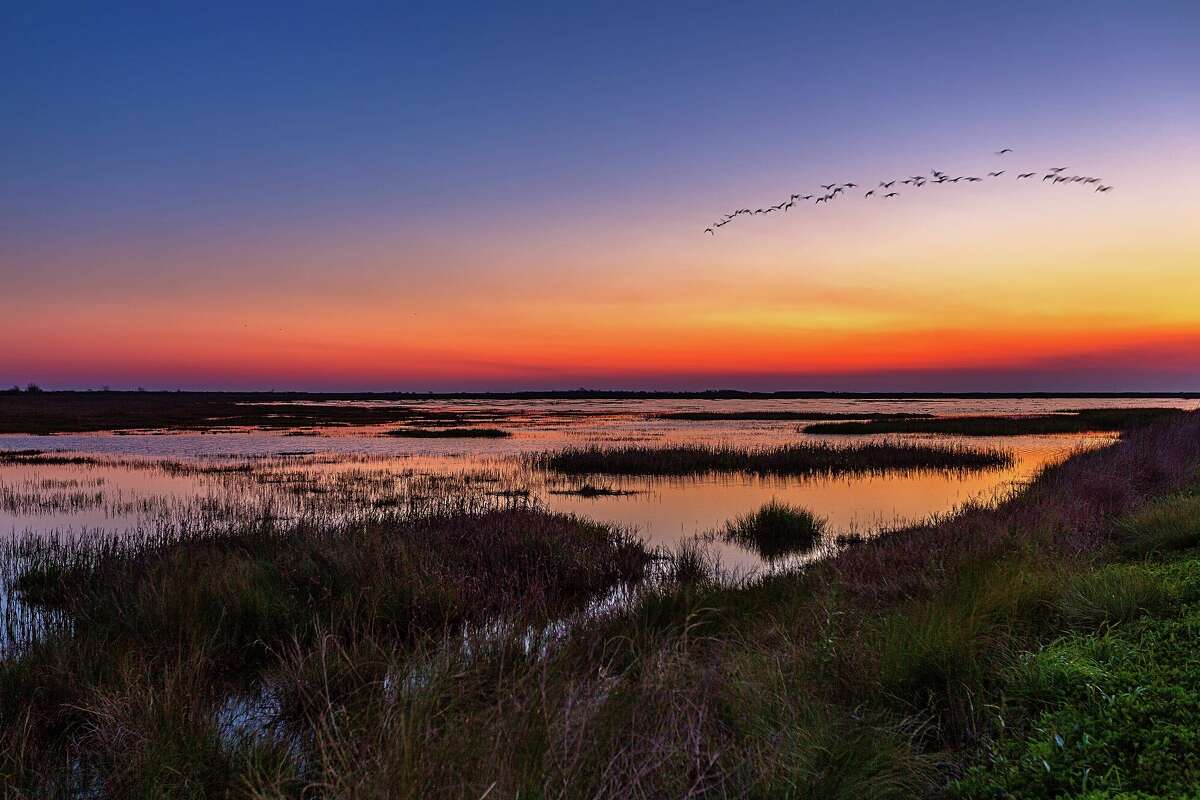 The beginning of sunrise over Olney Pond at the Brazoria National Wildlife Refuge. 