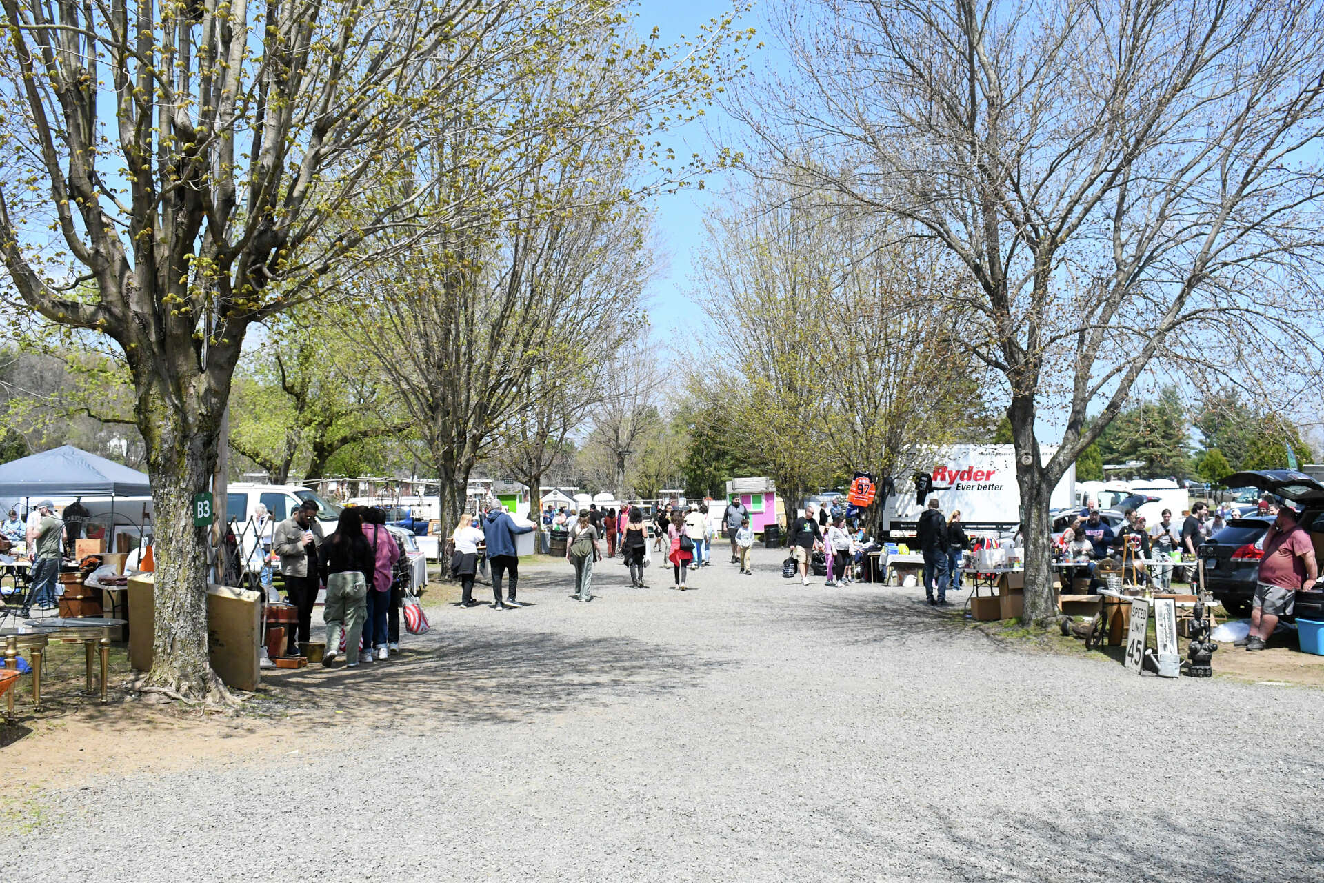 Sitemapcdatahttpswwwkedriinfoelephant Trunk Flea Market 2022 Schedule