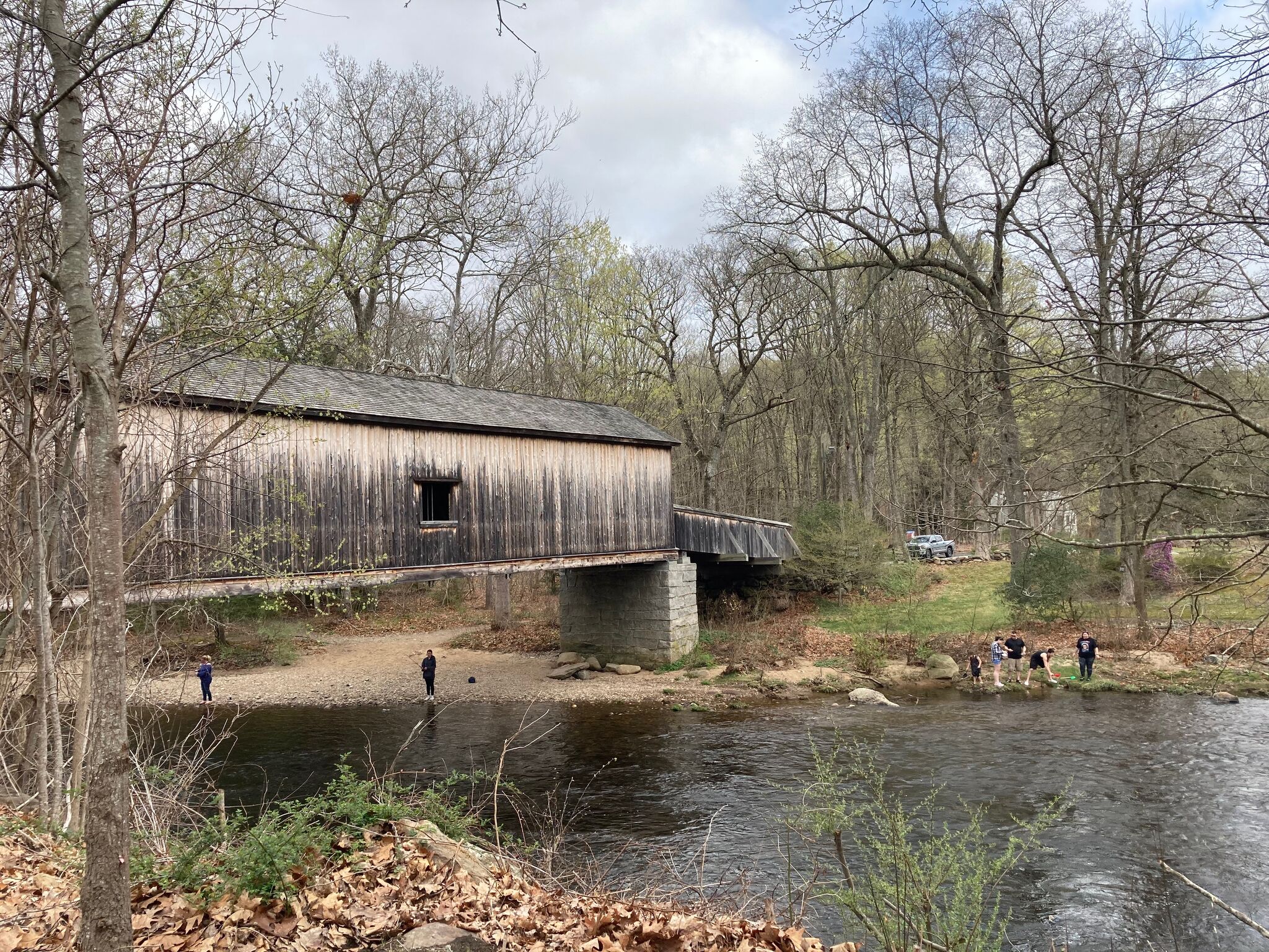 Sea lampreys are being killed and left along Connecticut's rivers - Vimarsana News