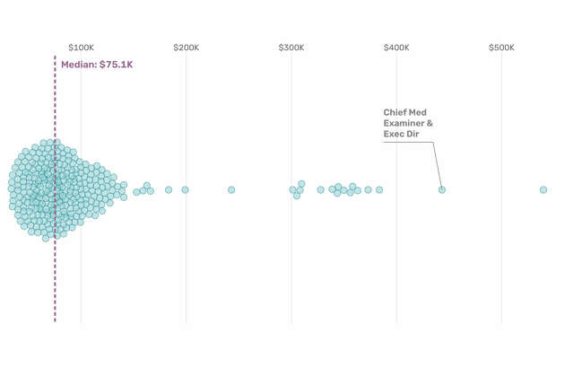 Story photo for Who are Harris County's top-paid employees?