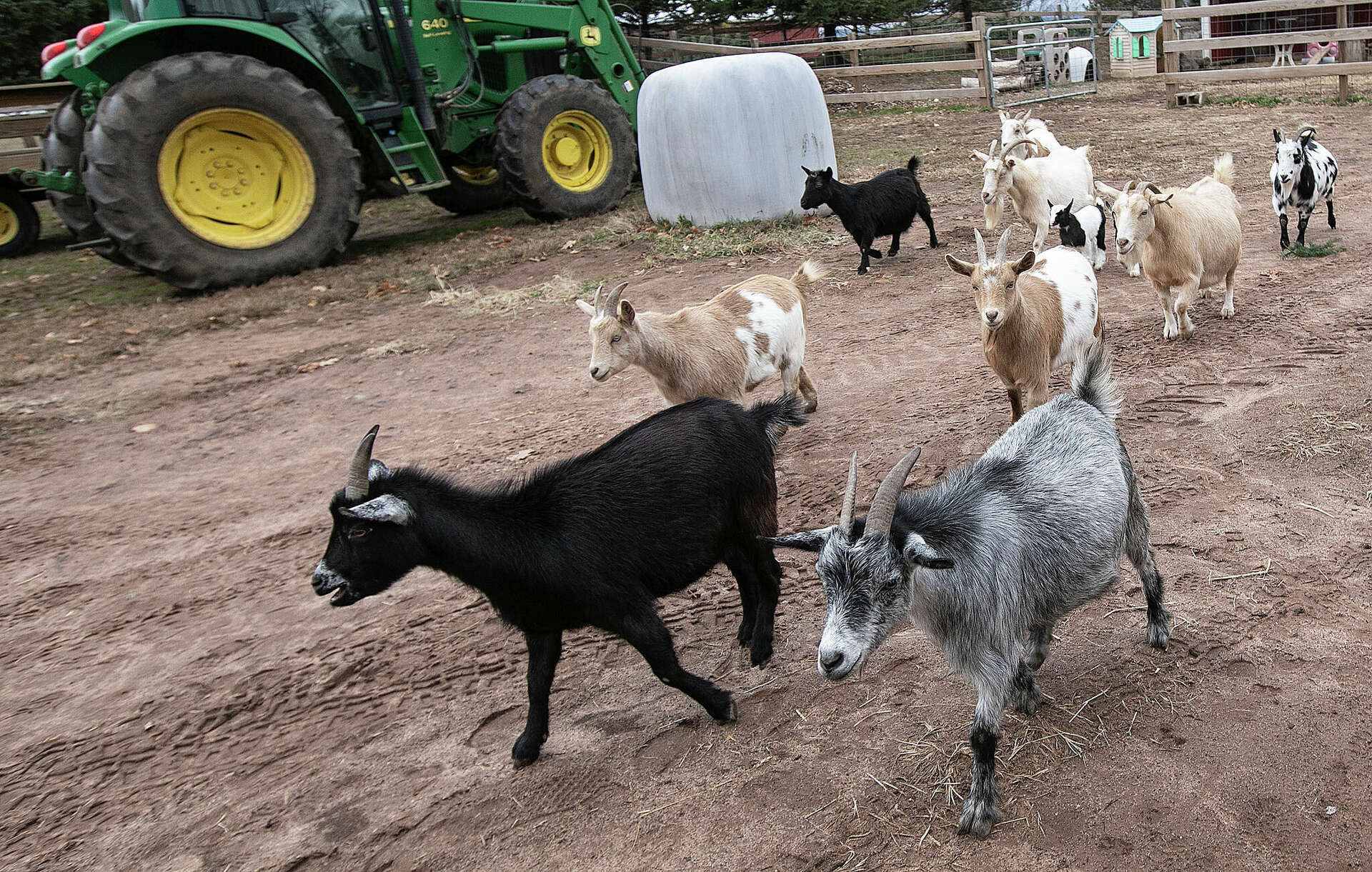 Cheshire Hollow Farms