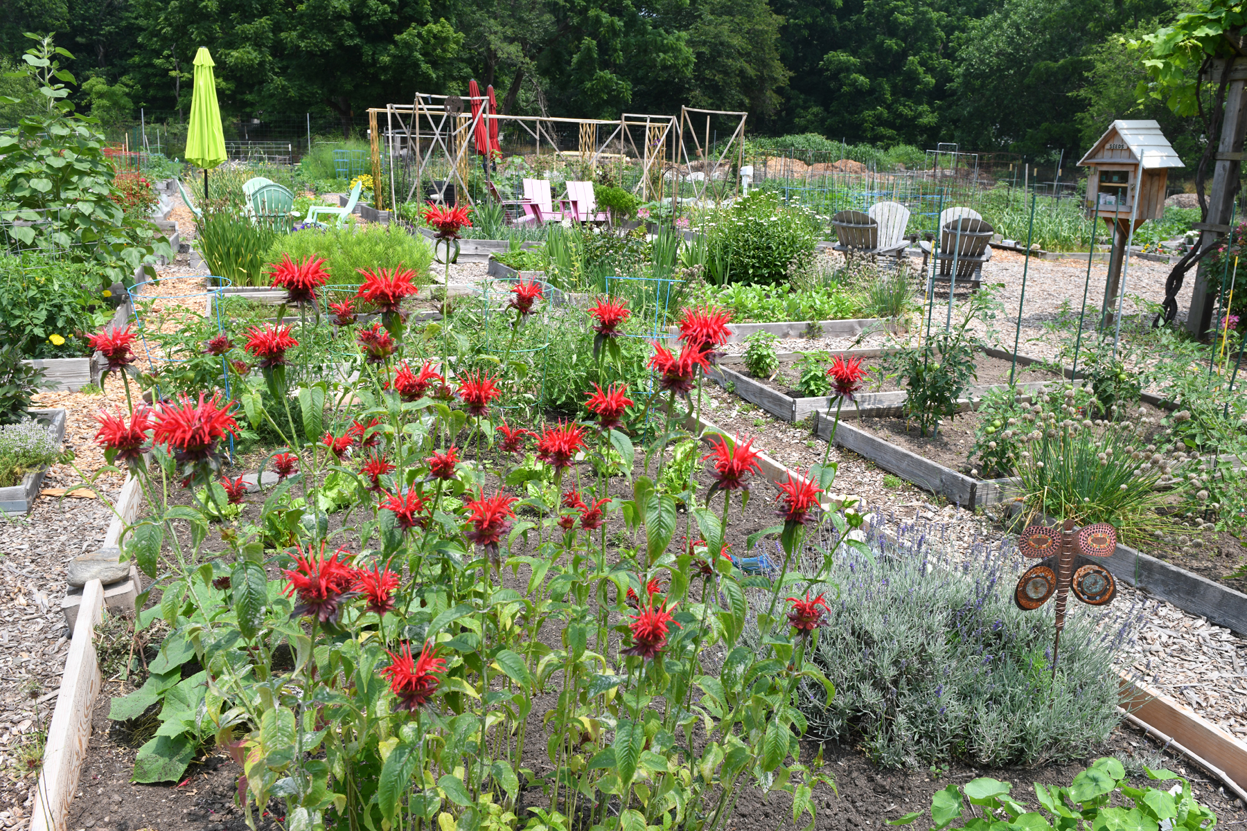 Westport gardeners continue planting with impending Long Lots build - Vimarsana News