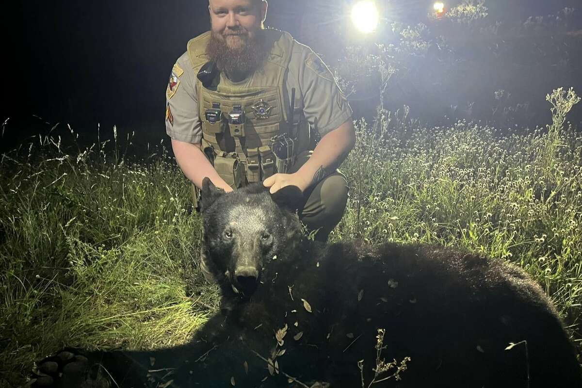 A Real County sheriff's deputy poses for a photo with the black bear. 