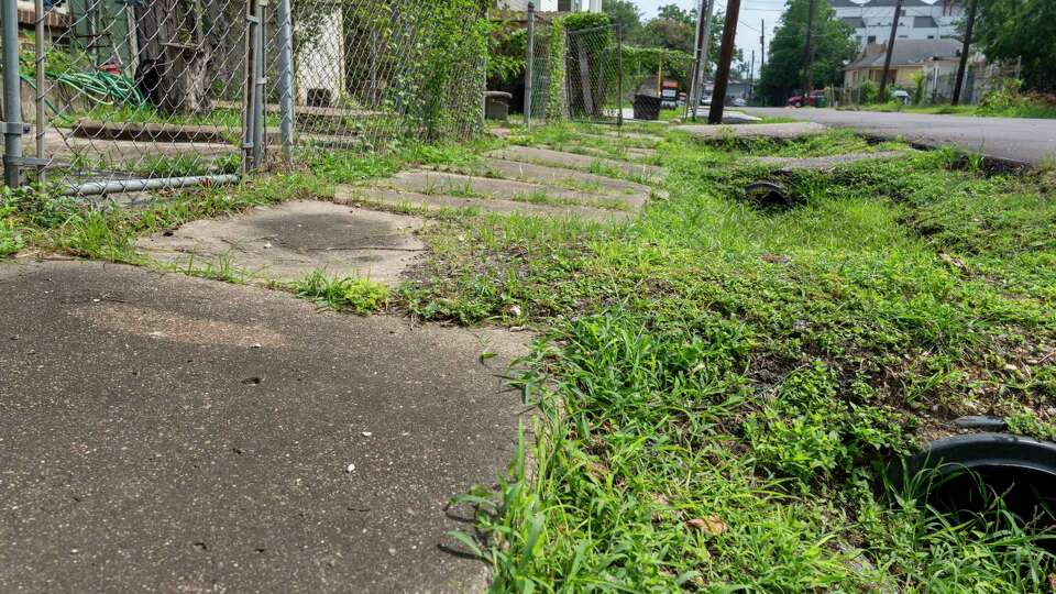 The sidewalk cement is overgrown and uneven making it difficult to walk along Nagle Street near Commerce Street Tuesday, June 4, 2024 in the Houston Second Ward.