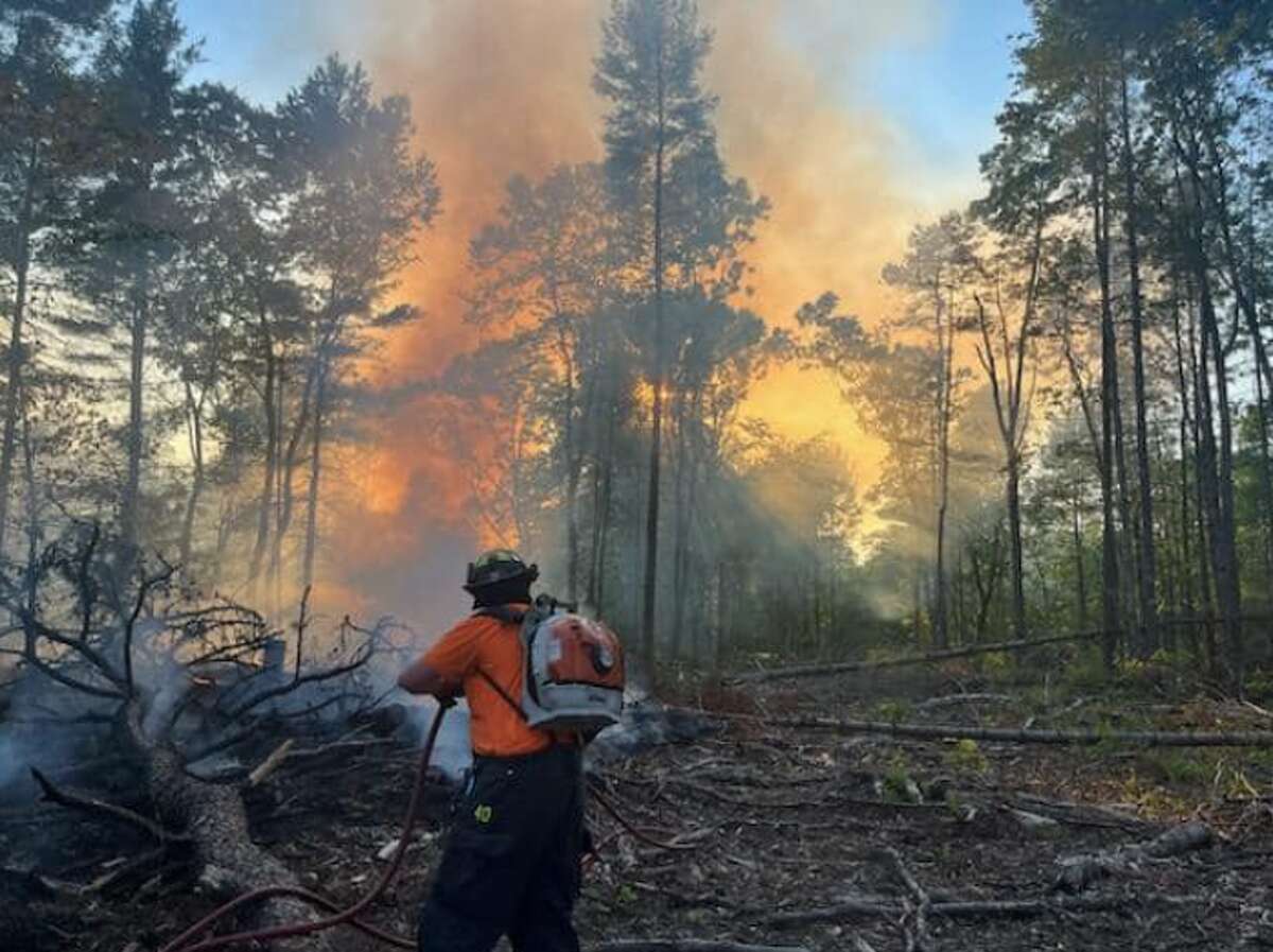 CT brush fire risk remains low despite blaze near Tweed airport