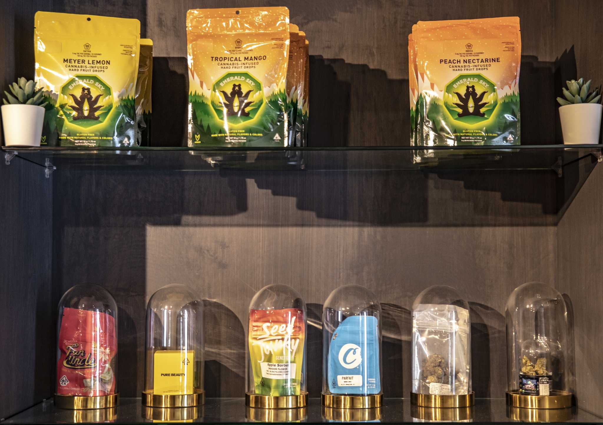 One in six US adults use cannabis — most therapeutically, study finds - Vimarsana News