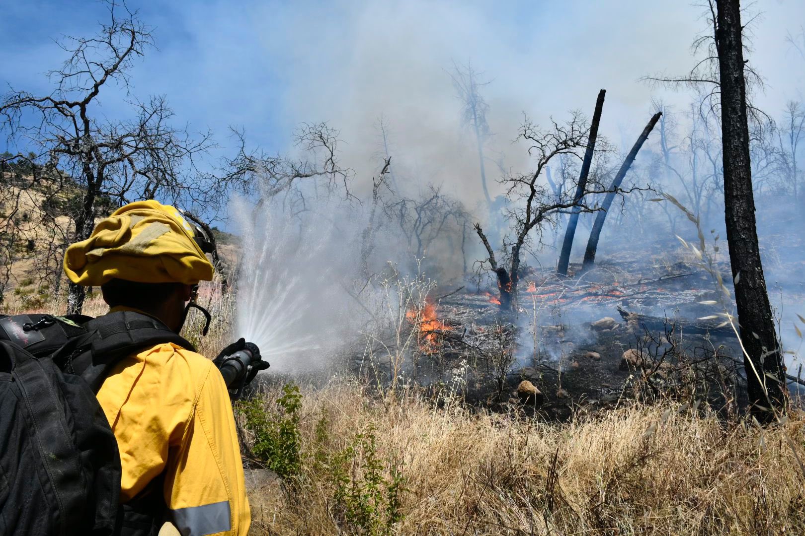 4 firefighters battling small Bay Area vegetation fire hospitalized