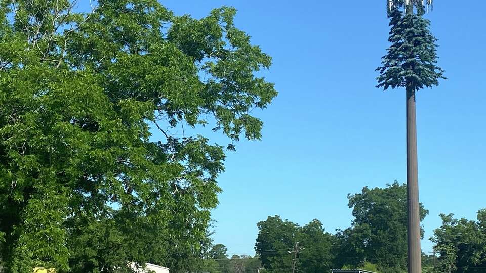 Conroe has three 'monopines' which are cell towers meant to blend into the landscape disguised as pine trees while bringing greater cellular coverage to the city. This one is on South Main Street. 