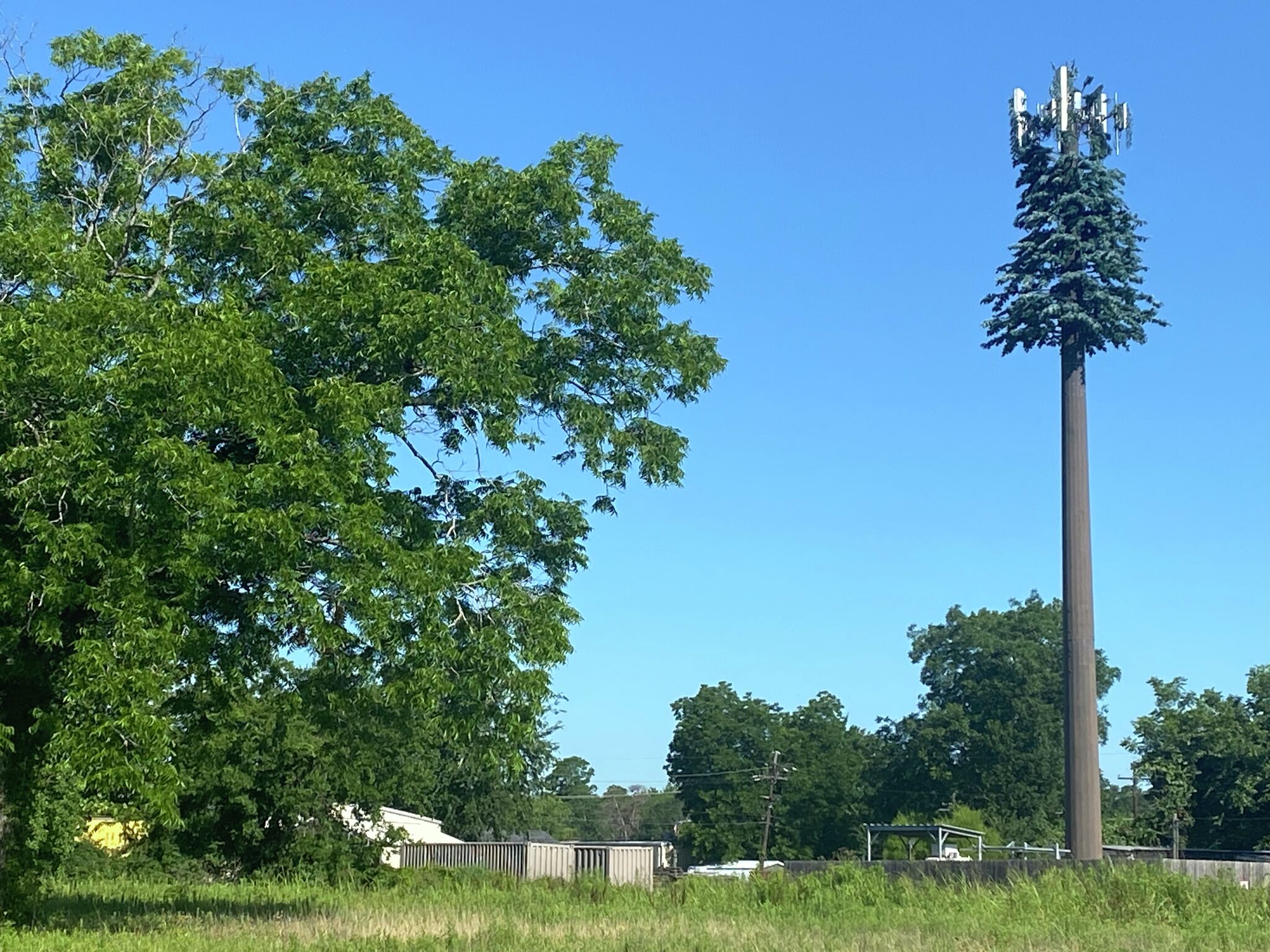 Conroe has three monopine cell towers disguised as pine trees.