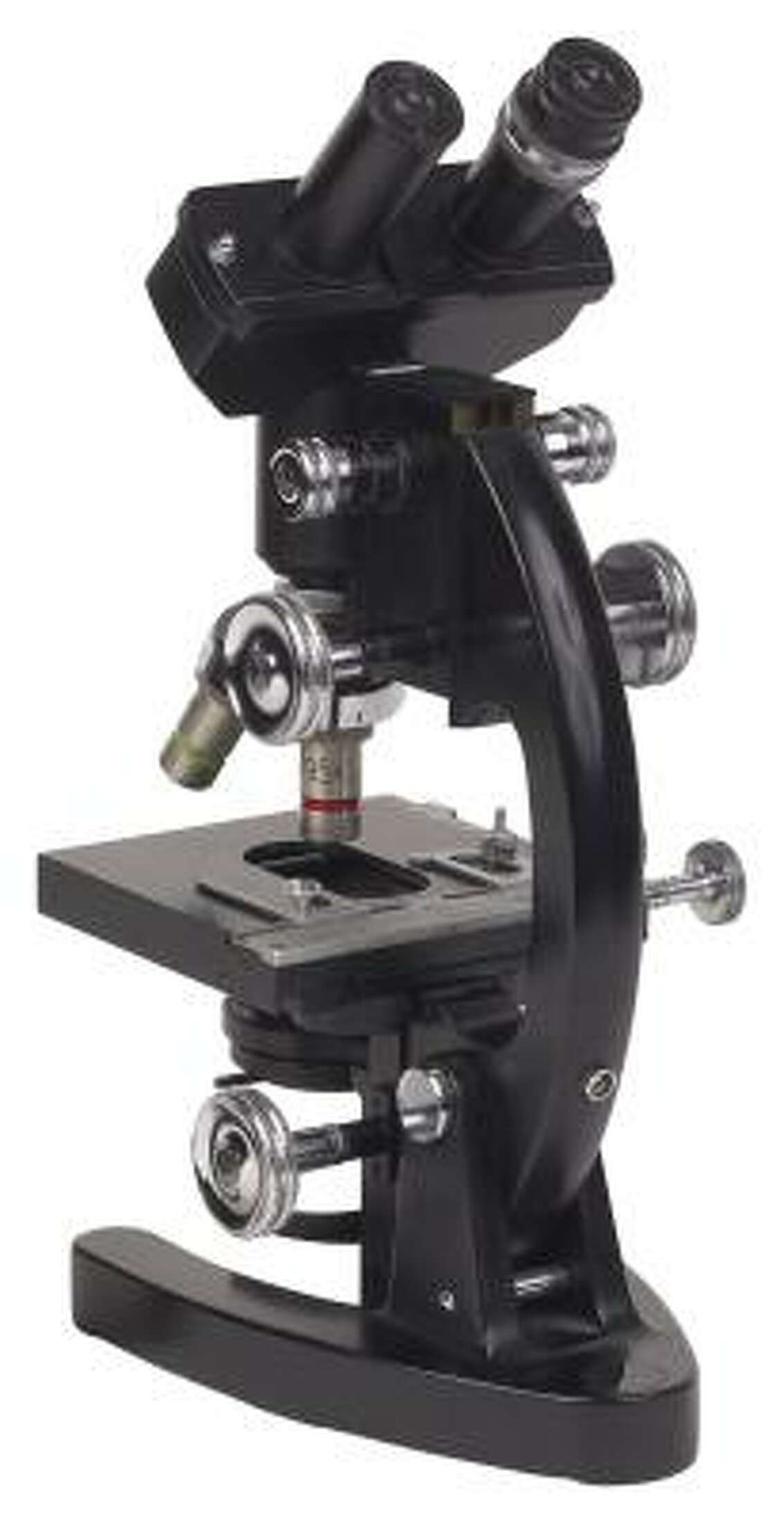 How to Estimate Size Under a Microscope