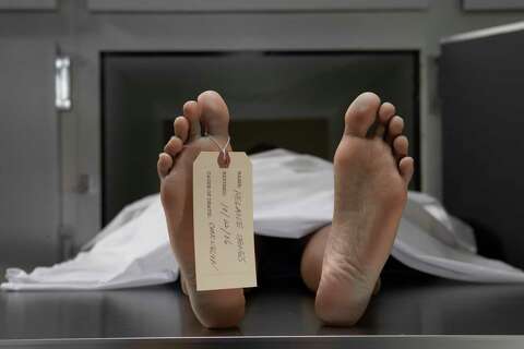 The Stages of the Human Decomposition Process