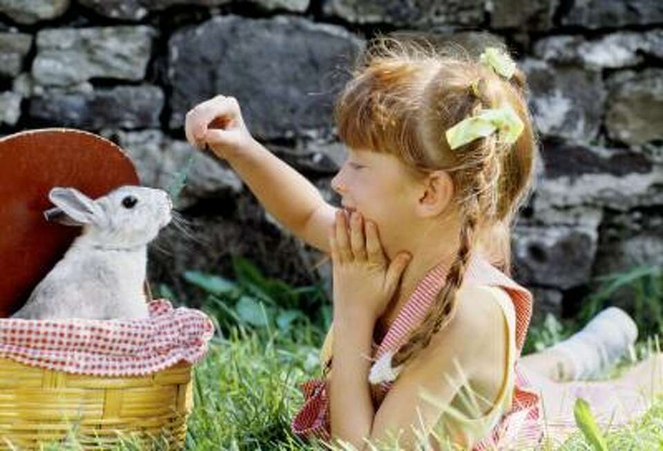 What Happens When Something in a Food Chain Goes Extinct? Biology Diagrams