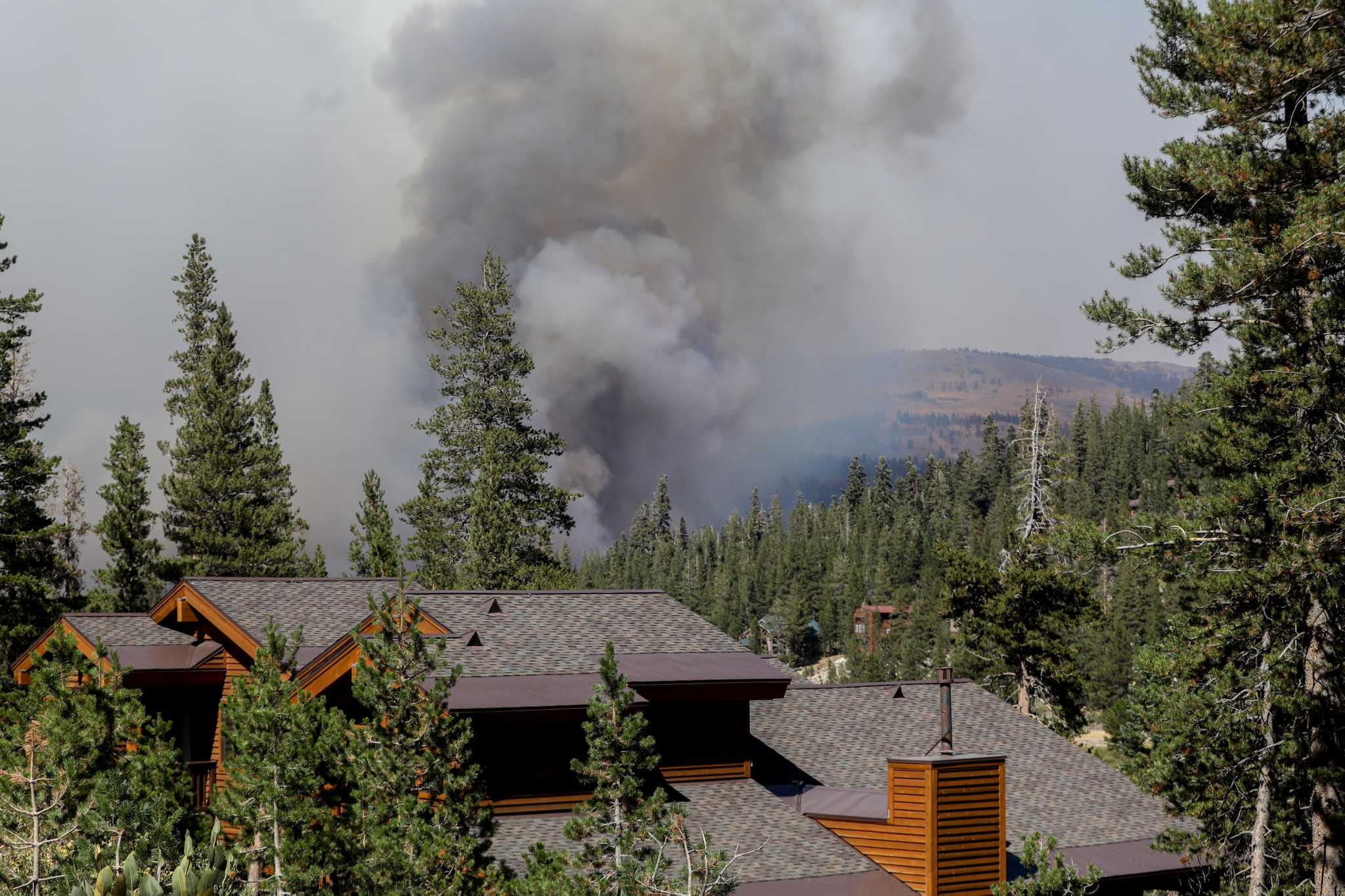 California wildfire smoke caused over 50,000 premature deaths: study - Vimarsana News