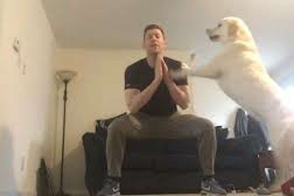 Who is Casey Bortnick from Spectrum News Albany?