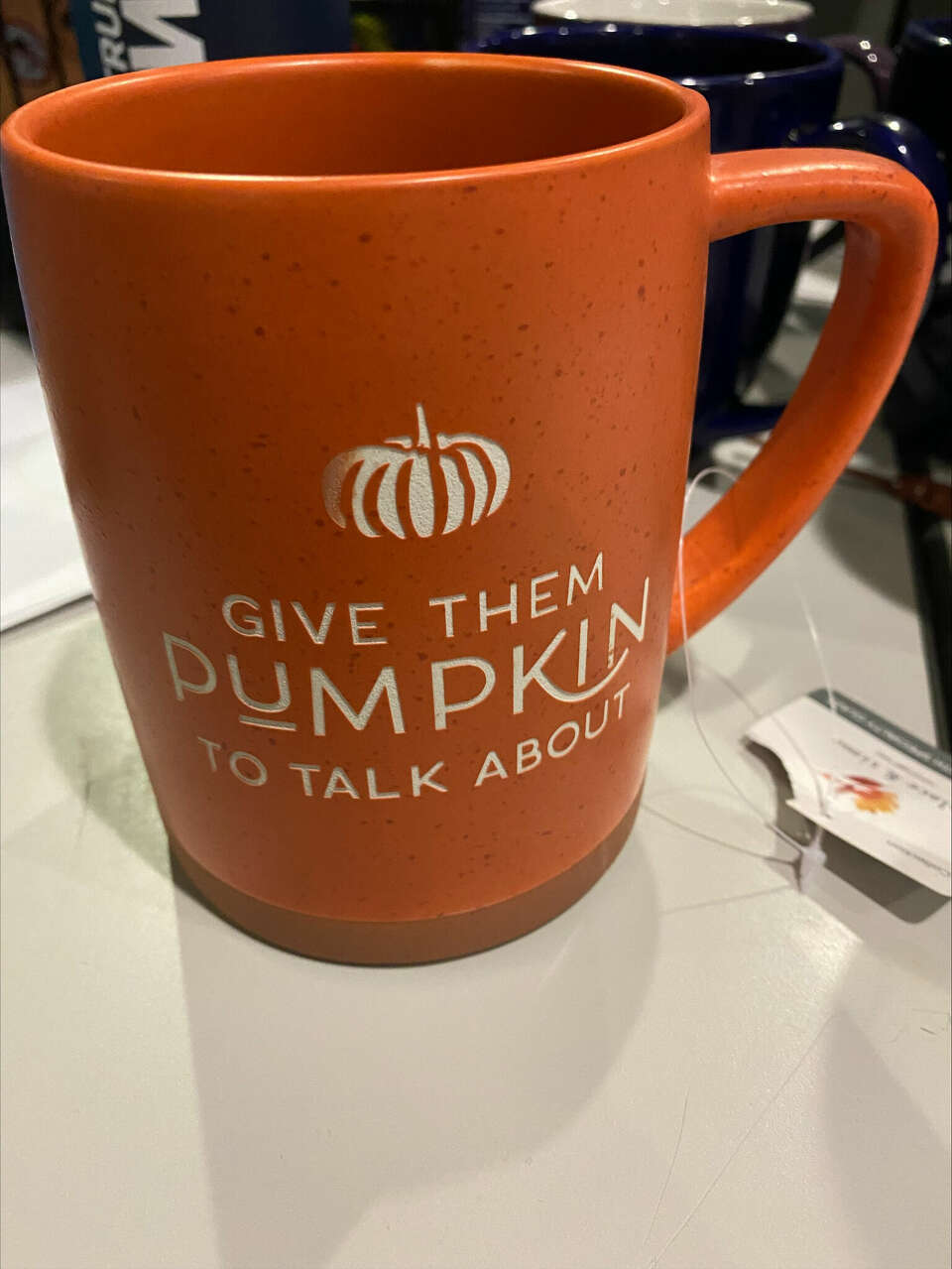 Who is Casey Bortnick from Spectrum News Albany?