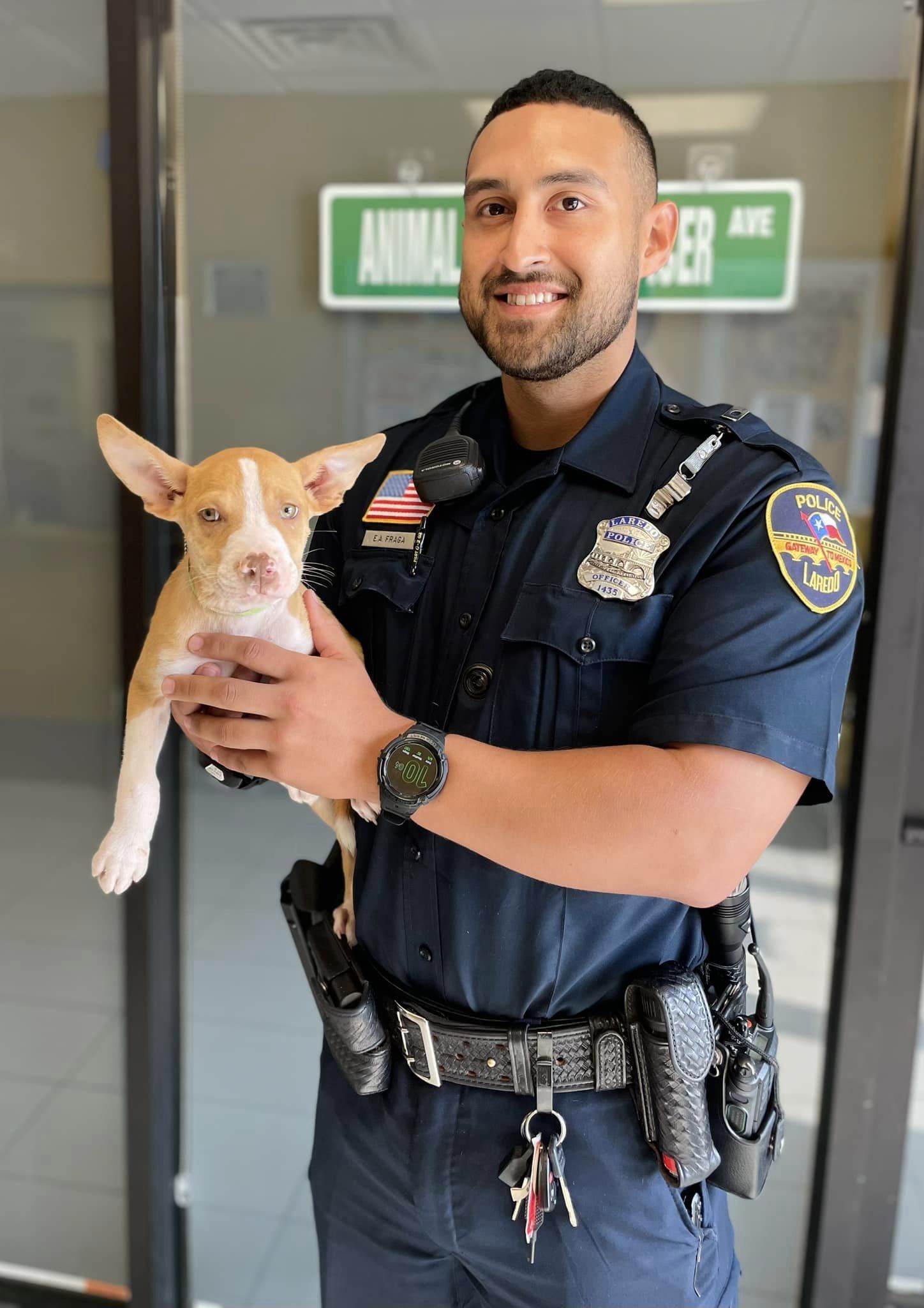 LPD presents cat and dog as Pets of the Week available for adoption