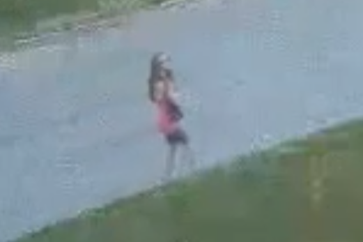 Search for missing West Michigan teen reaches day 10 - Vimarsana News
