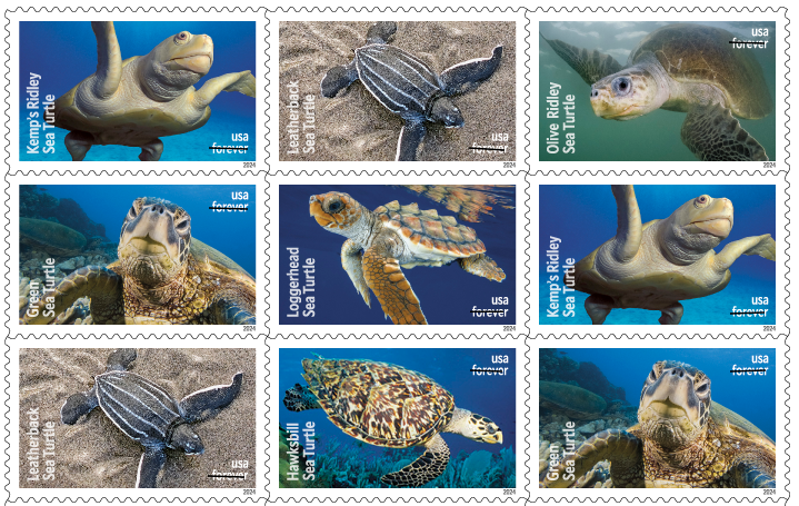 USPS releases new Protect Sea Turtles Forever stamps