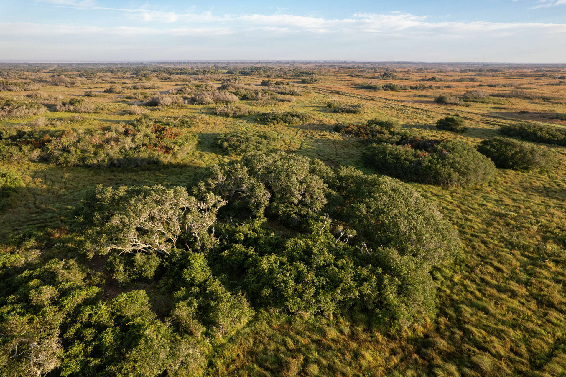 Sprawling Texas Gulf Coast ranch lists for $10.7M