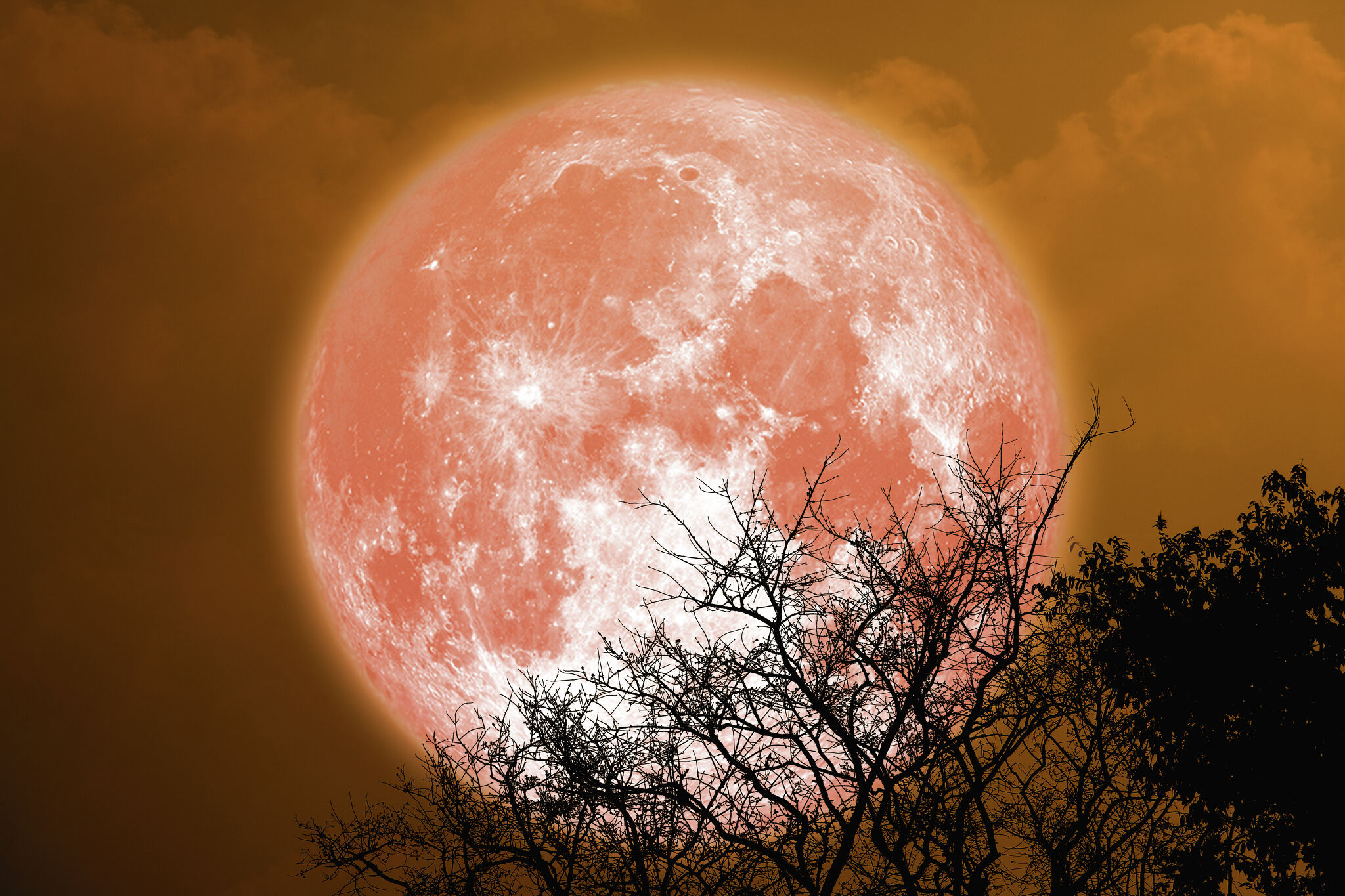 Strawberry Moon set to peak in full illumination