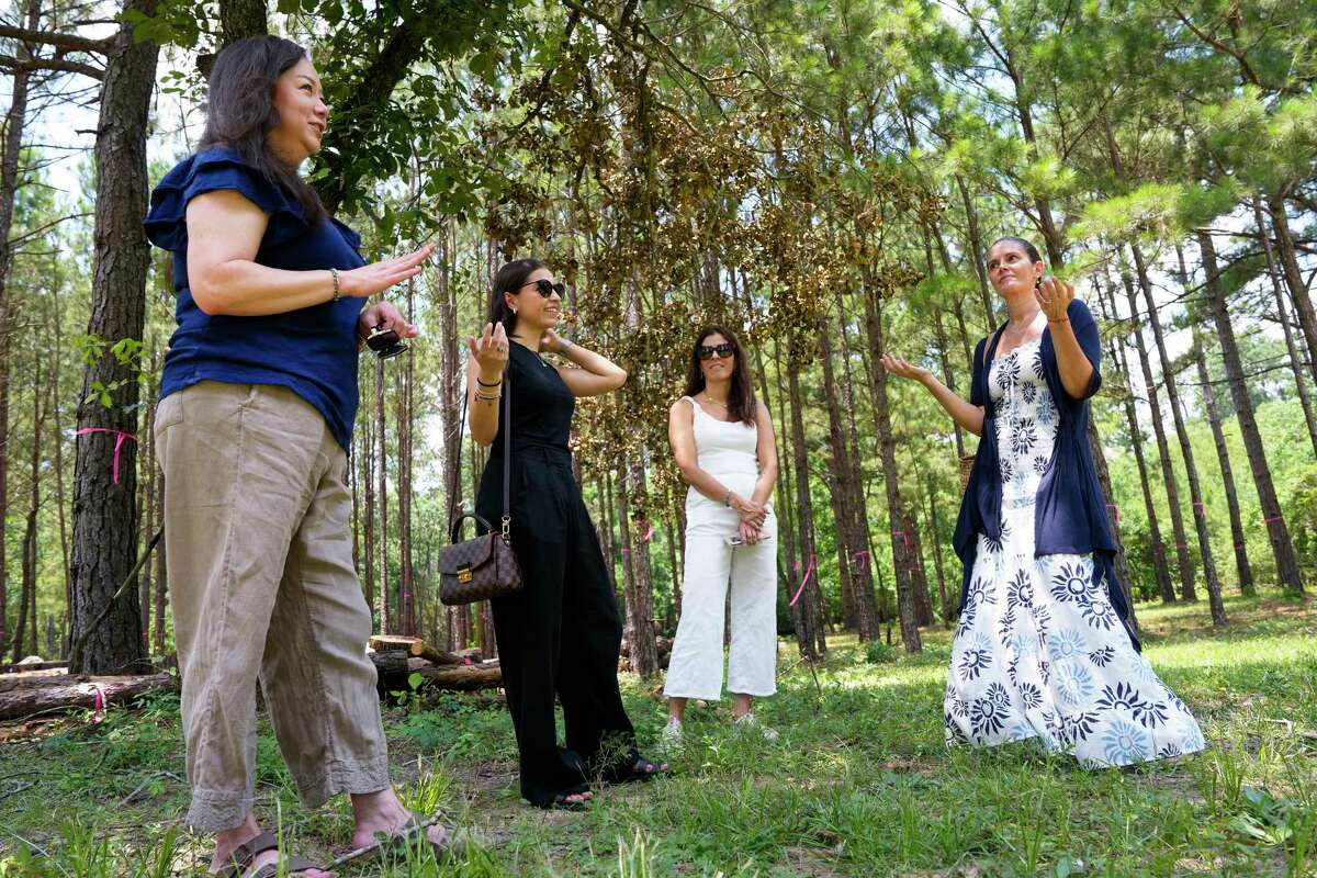 The administrators of Woodlands Forest School, which serves K-6 students, share their visions for the nature-focused school Thursday, June 13, 2024 in Magnolia. From left: principal Cindy Spayth, administrative coordinator Daniela Anaya, partner Mariana Urdaibay and founder Delis Urdaibay.