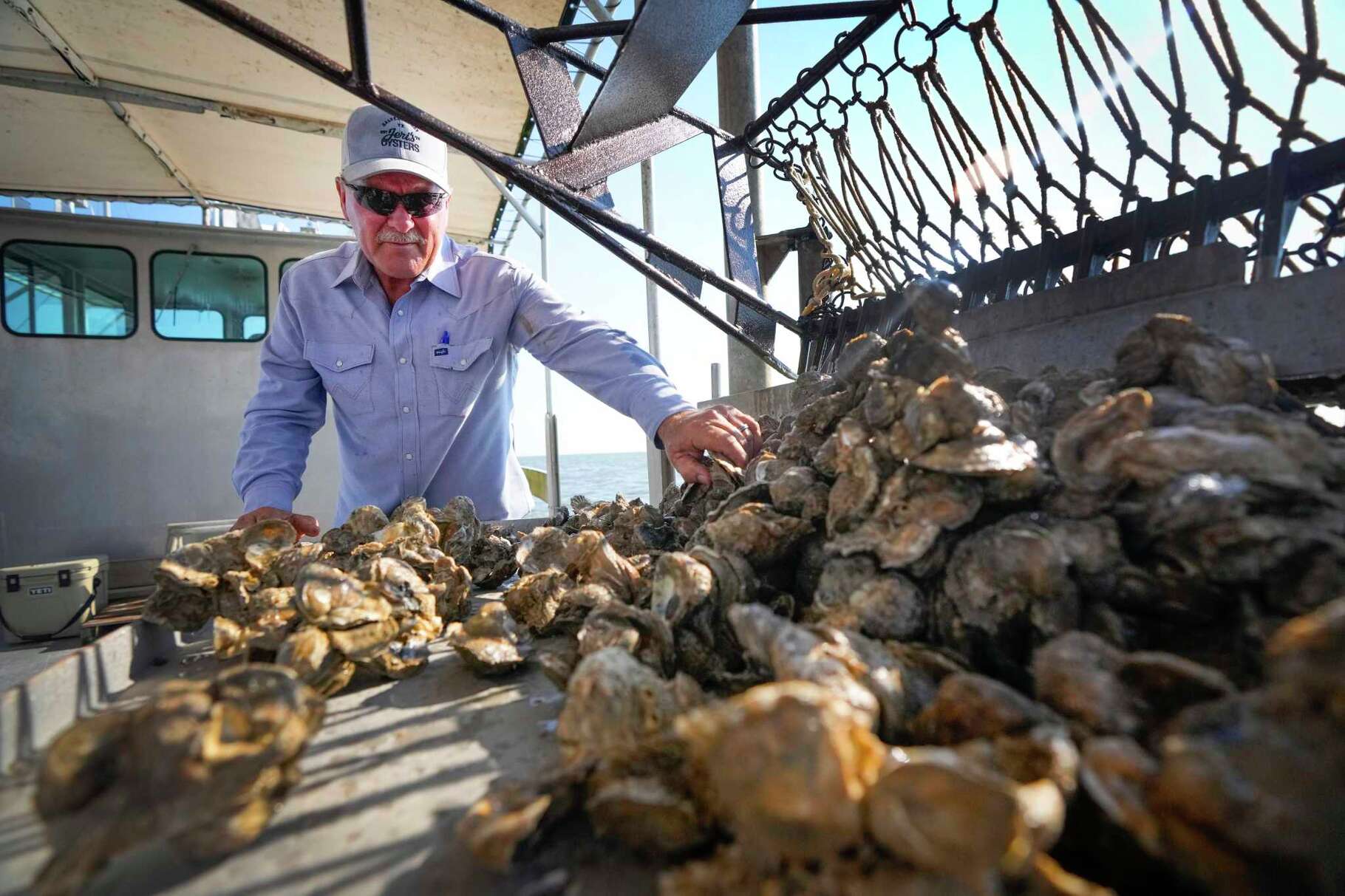 Tracy Woody, owner of Jeri’s Seafood, checks on samples of oysters dredged from the water on Friday, June 14, 2024 in Galveston Bay. Woody checked on oyster reefs to determine the mortality rate of the mollusk beds in light of recent heavy rains. The influx of freshwater from recent heavy rains and flooding has killed off a large portion of the harvestable oysters in Galveston Bay.