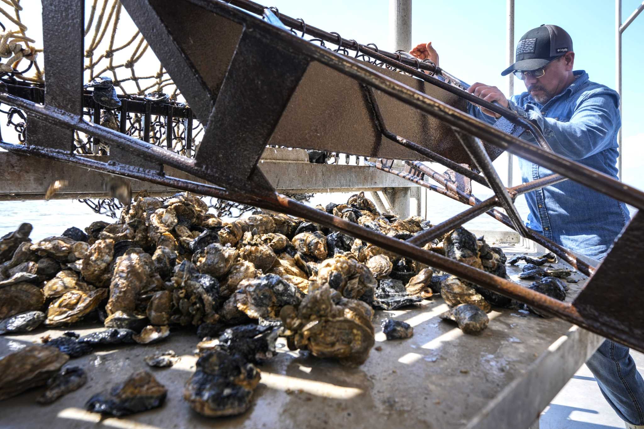 Texas closing most of its oyster harvest areas this season