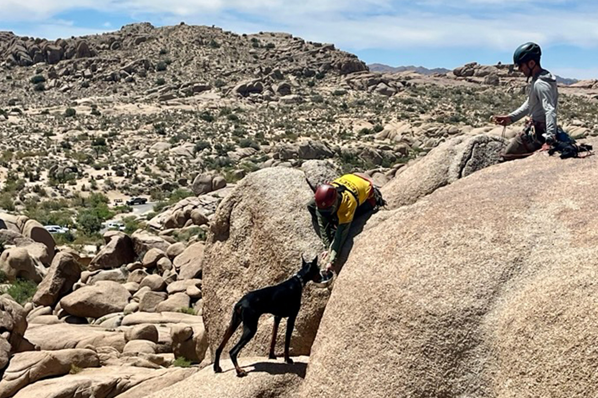 Lost, dehydrated puppy rescued in 90 degree heat at popular Calif. par