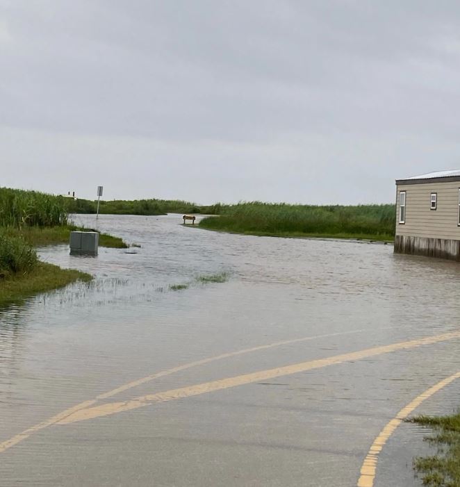 High tides at Sea Rim State Park flood roads, shut down camping