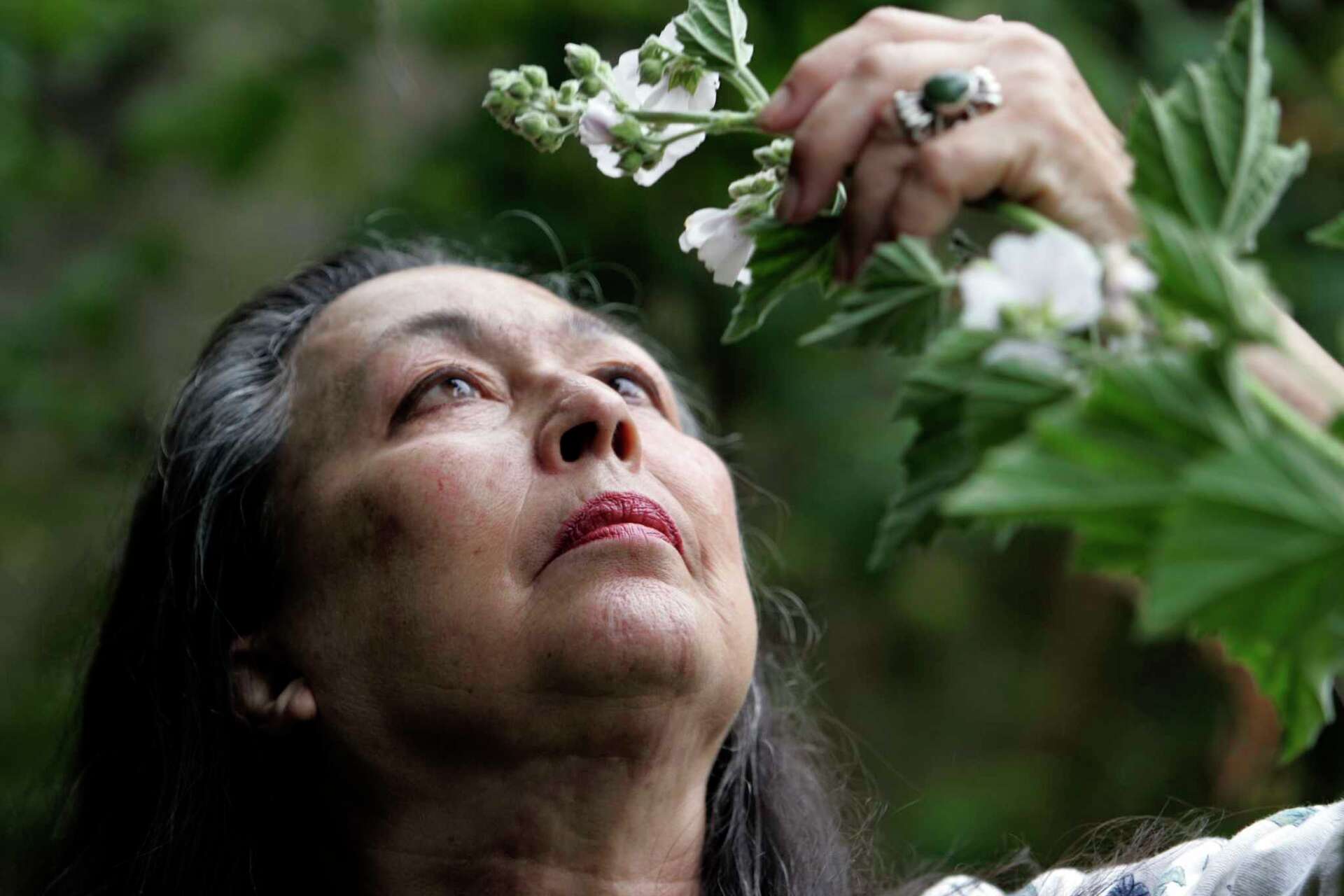 Jerene Roses San Francisco herbalism pioneer Jeanne Rose dies at 87