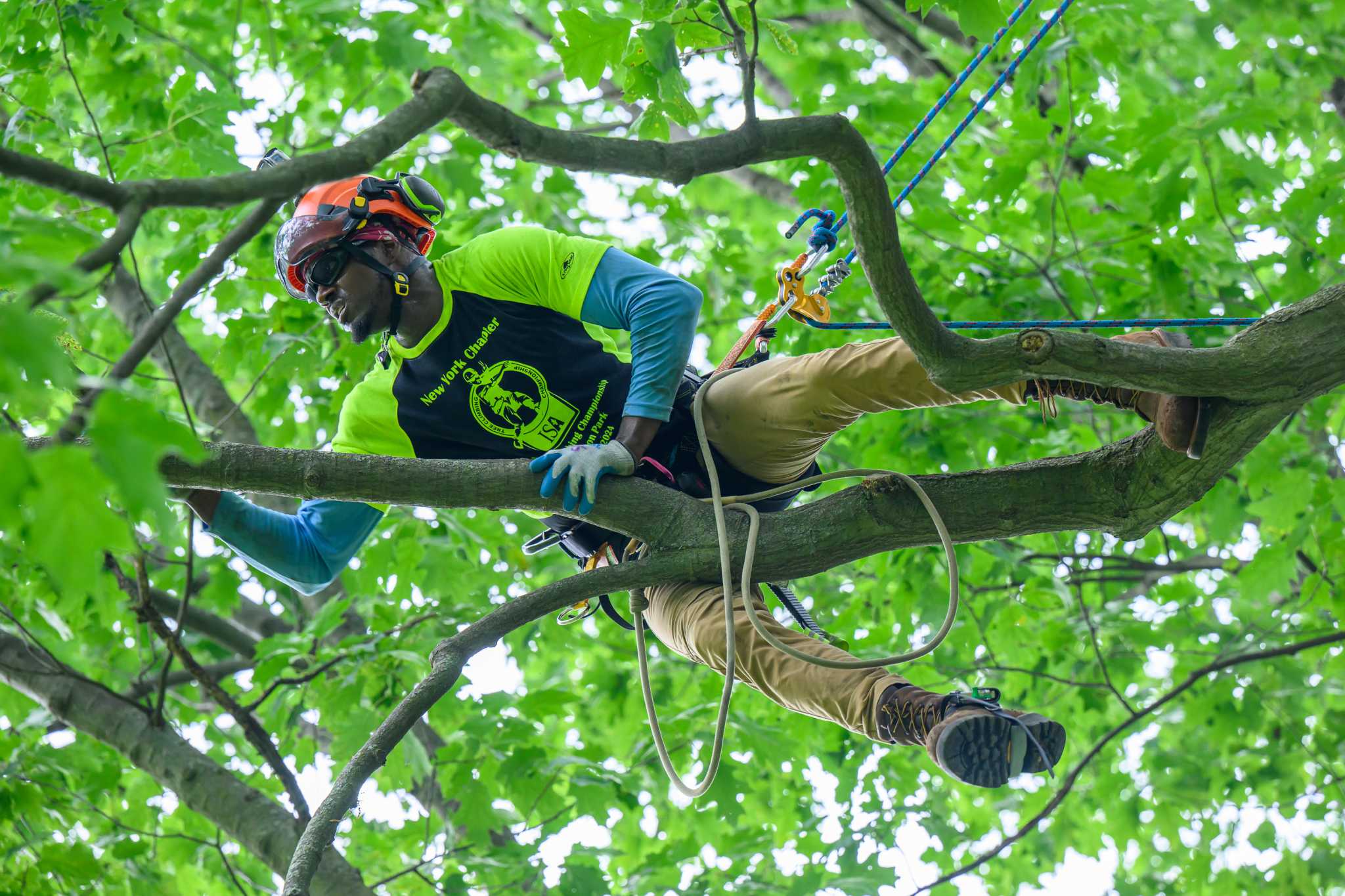 Arborists compete in tree-climbing competition in Washington Park