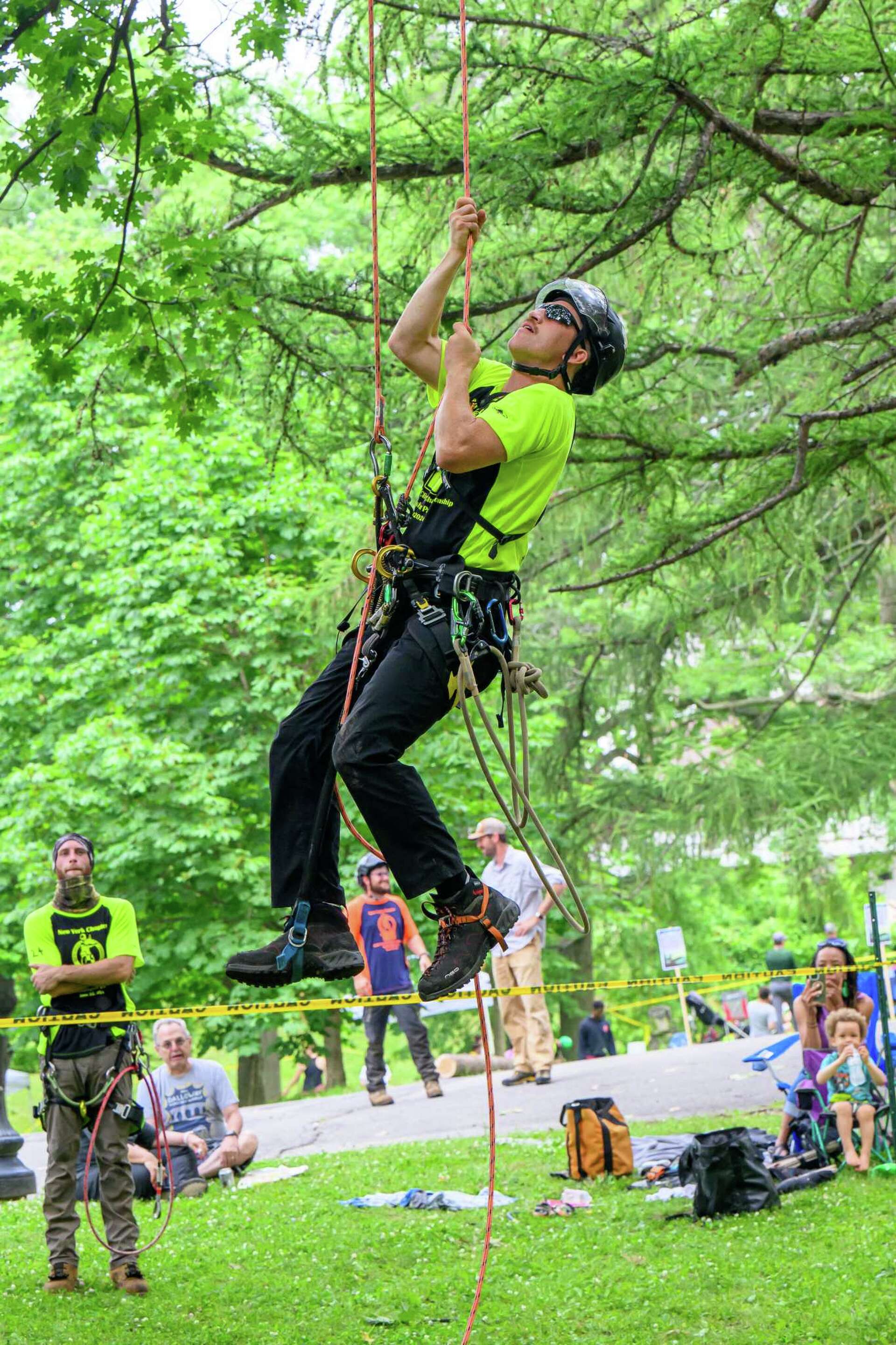 Arborists compete in tree-climbing competition in Washington Park