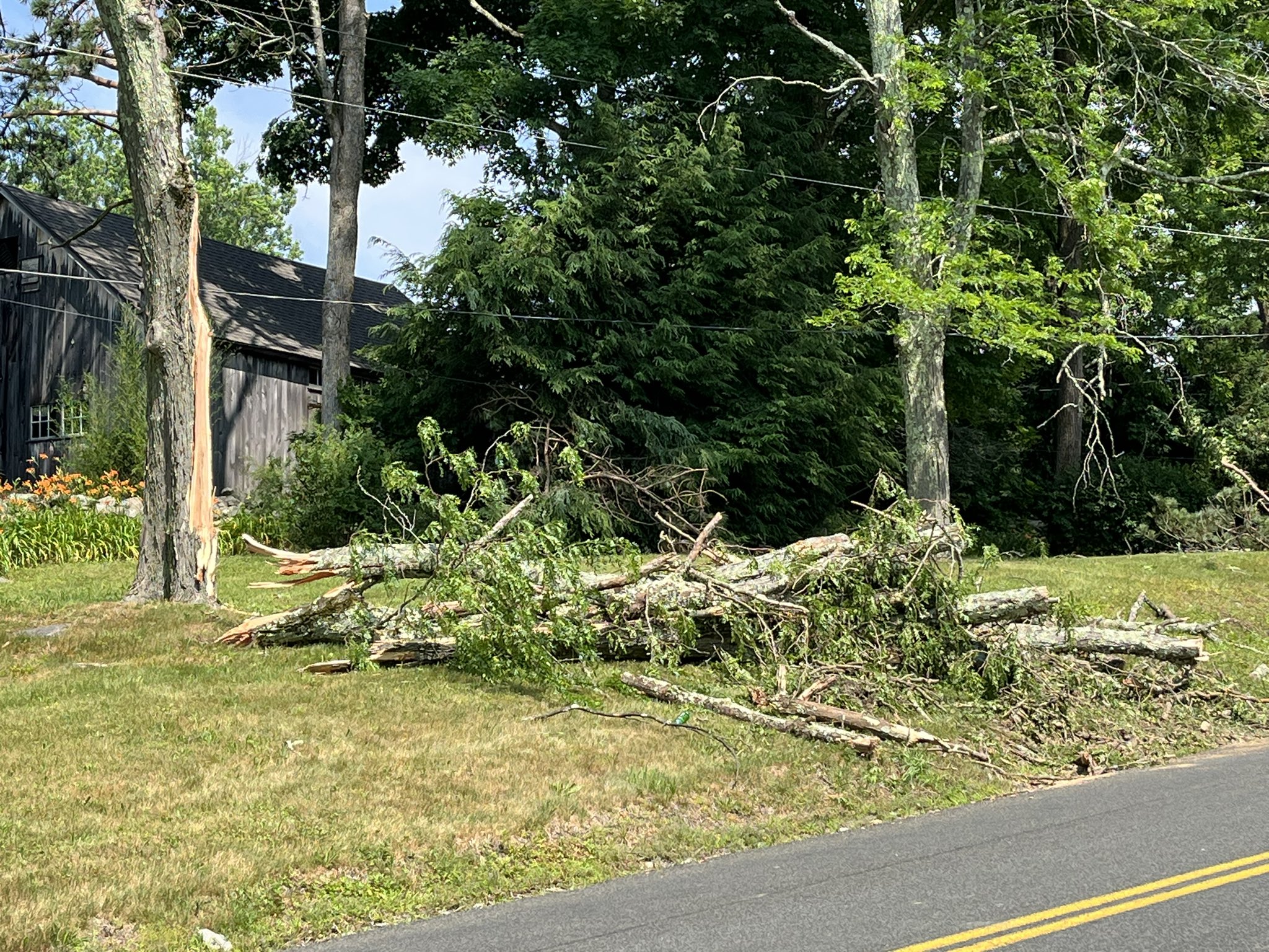 Tornado touched down in Harwinton on Friday, weather service confirms