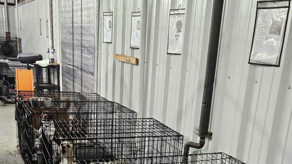 Bayou Animal Services and Adoption Center is waiving all its adoption fees to manage its overflowing facility. Crates are taking up every available space at the small shelter in Dickinson. 