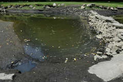 Greenwich's Binney Park's pond has been affected by bridge work