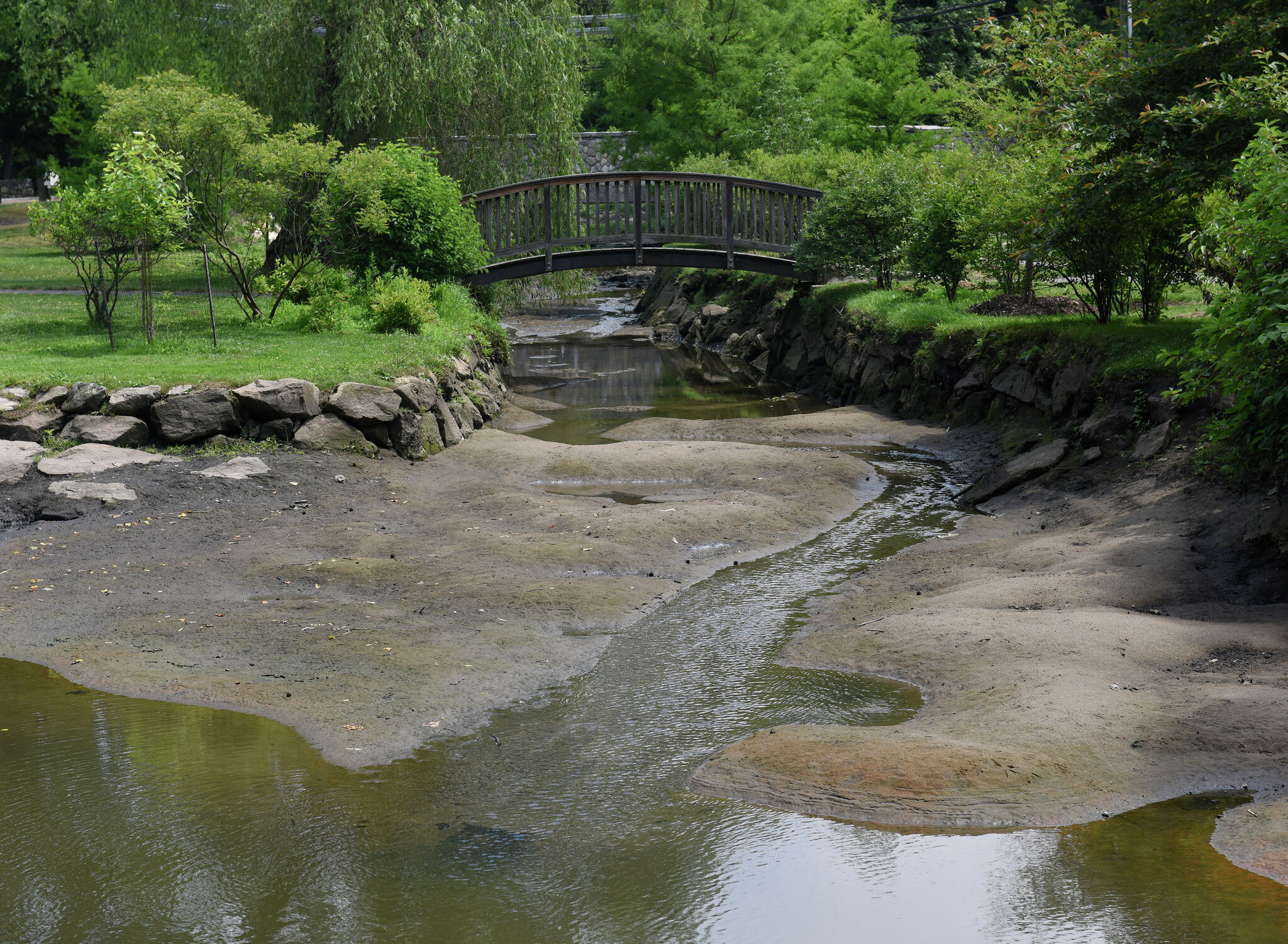 Greenwich's Binney Park's pond has been affected by bridge work