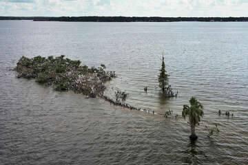 Lake Conroe's Bird Island restoration project launched by residents